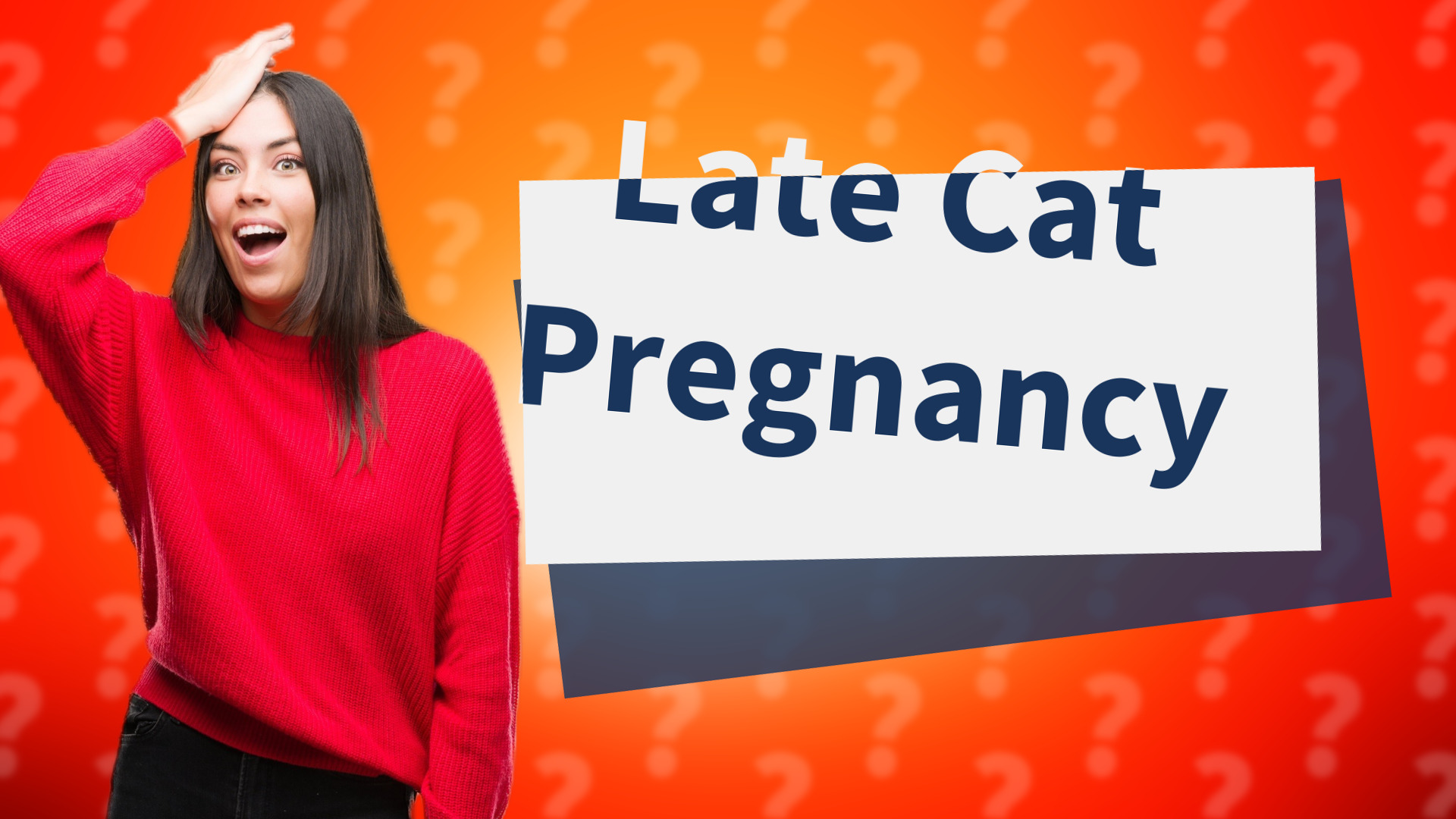 Late Cat Pregnancy