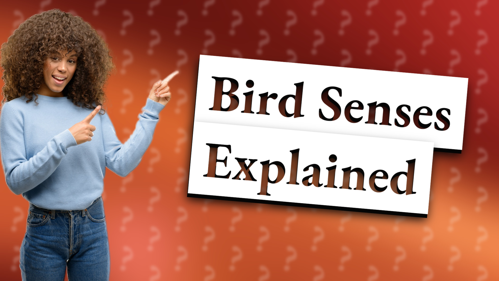 Bird Senses Explained