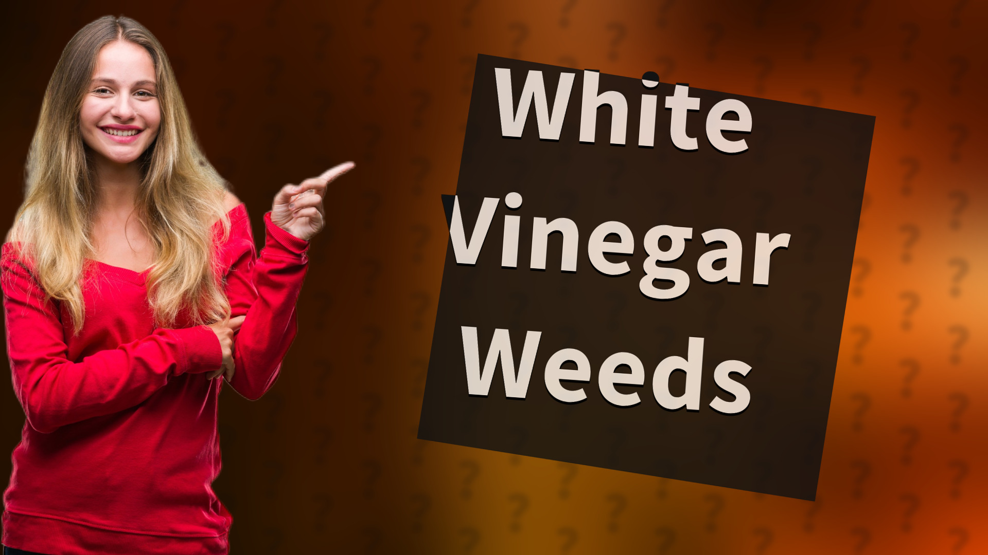 White Vinegar Weeds