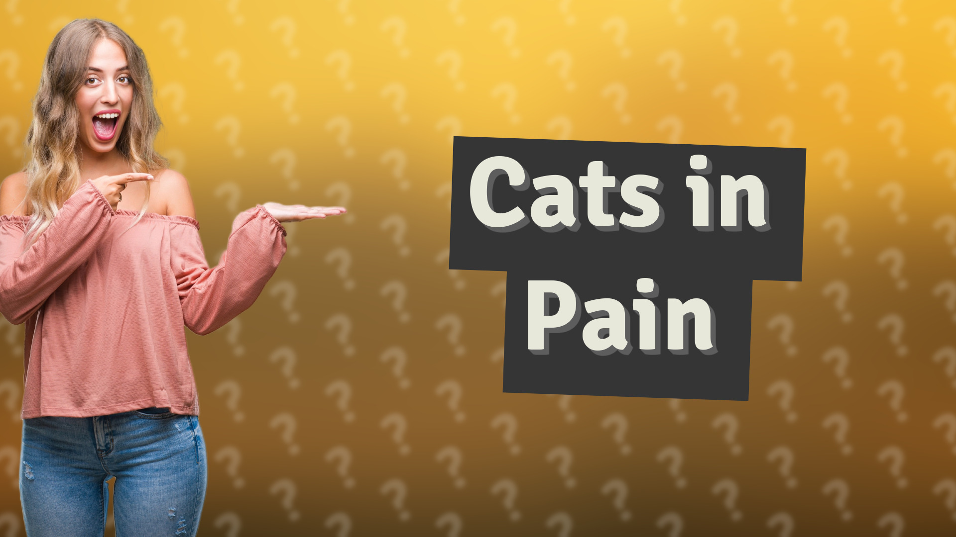 Cats in Pain