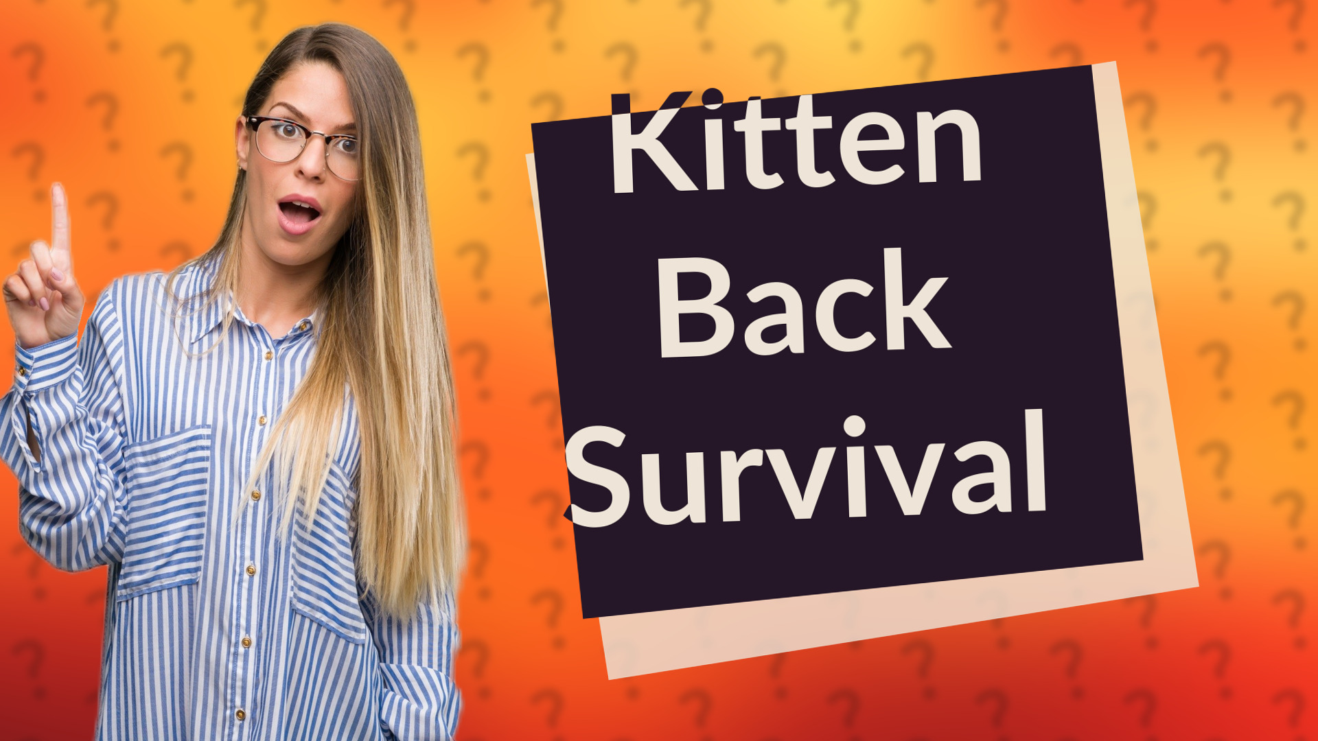 Kitten Back Survival