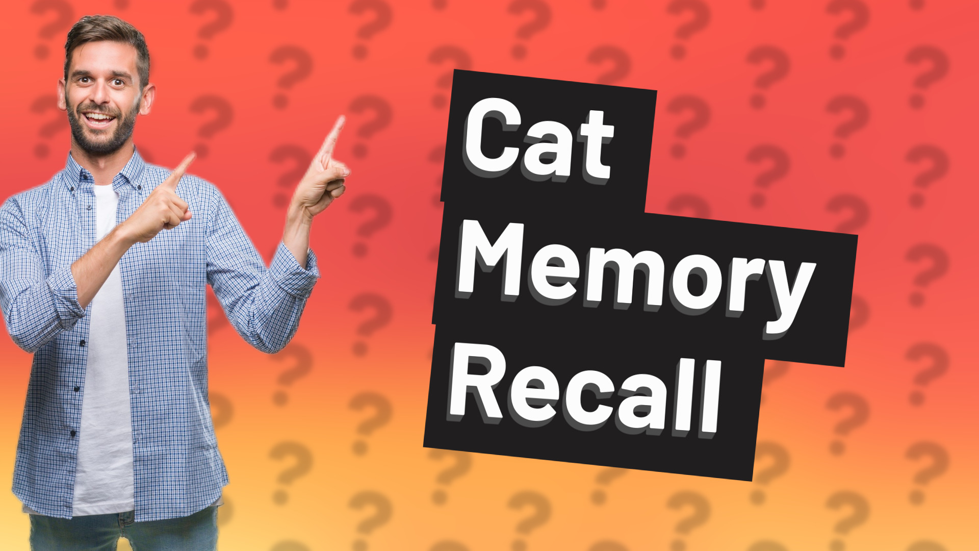 Cat Memory Recall