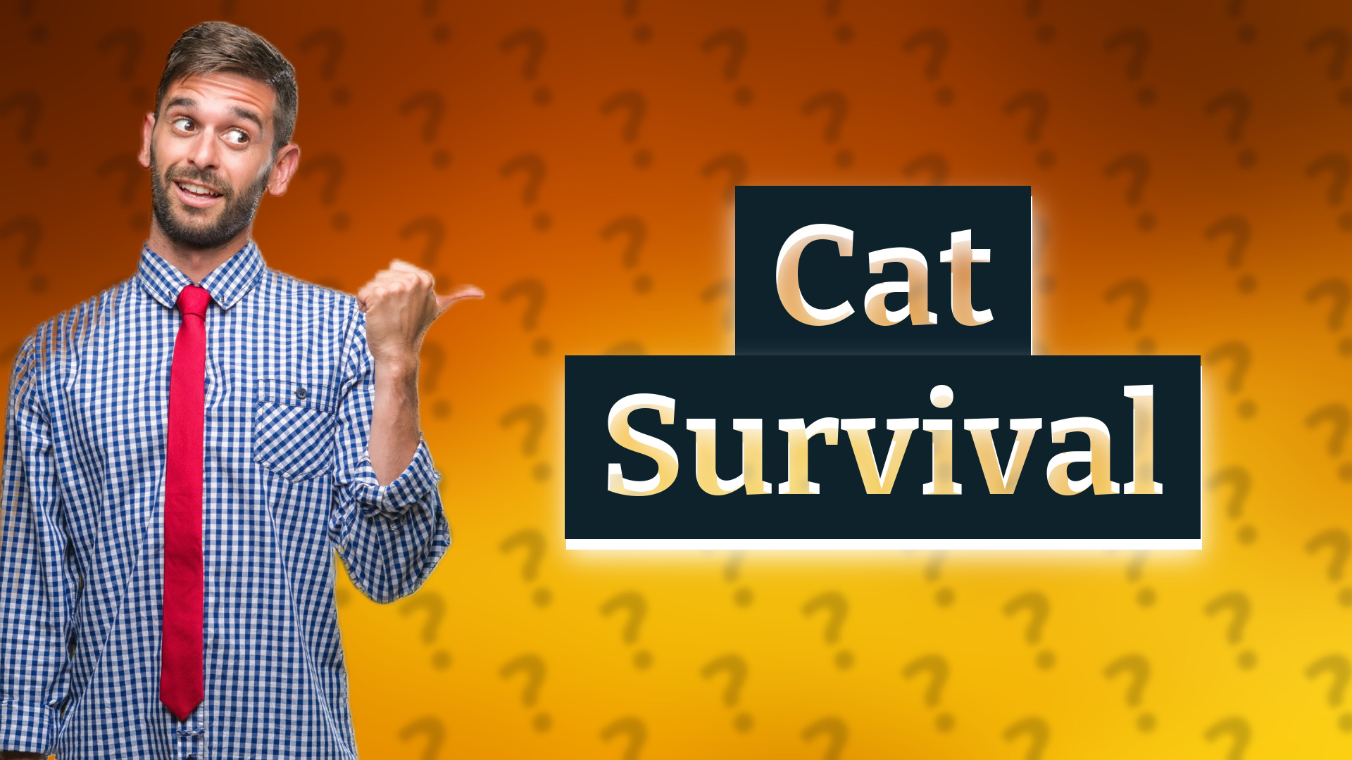 Cat Survival