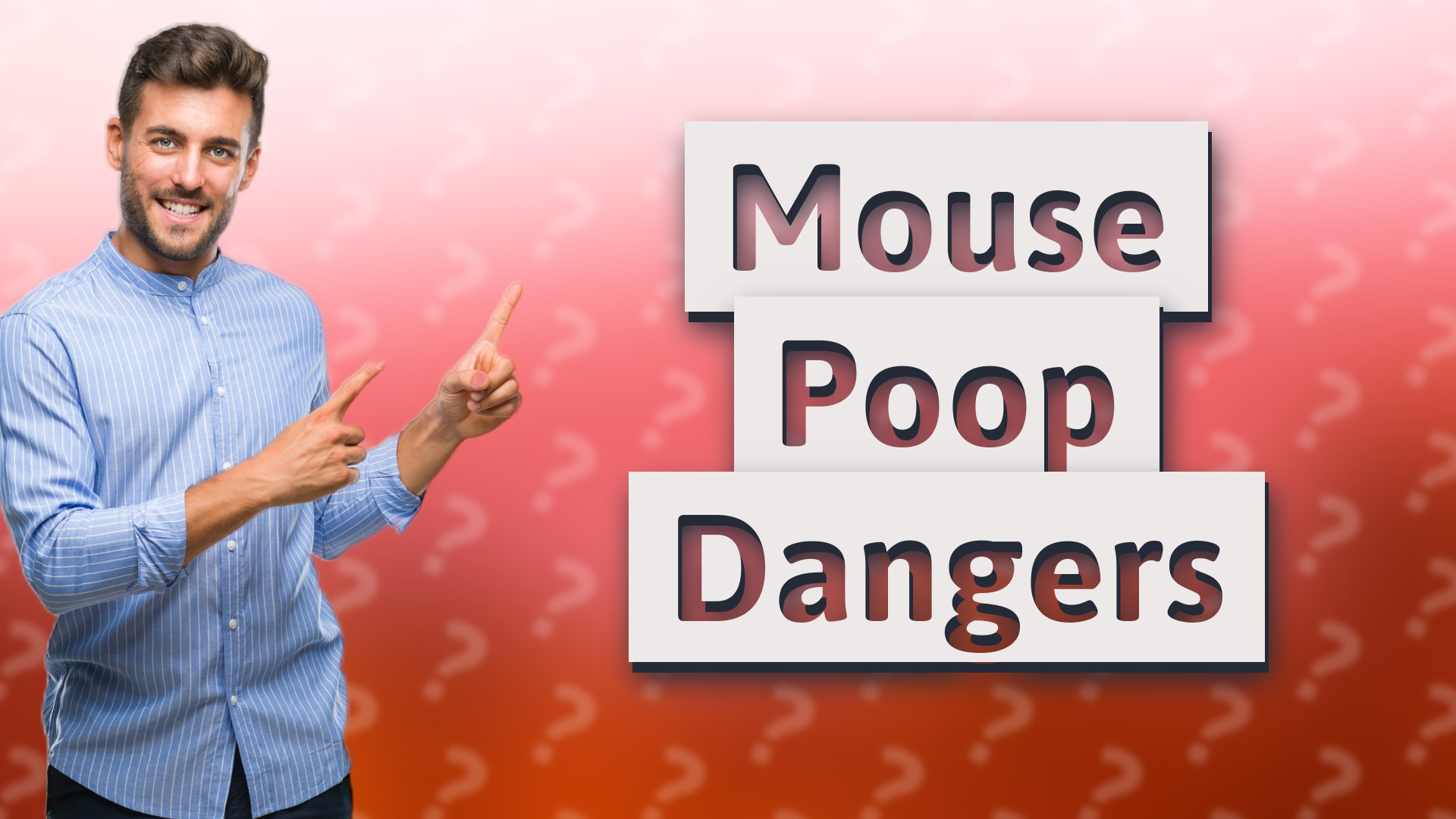 Mouse Poop Dangers