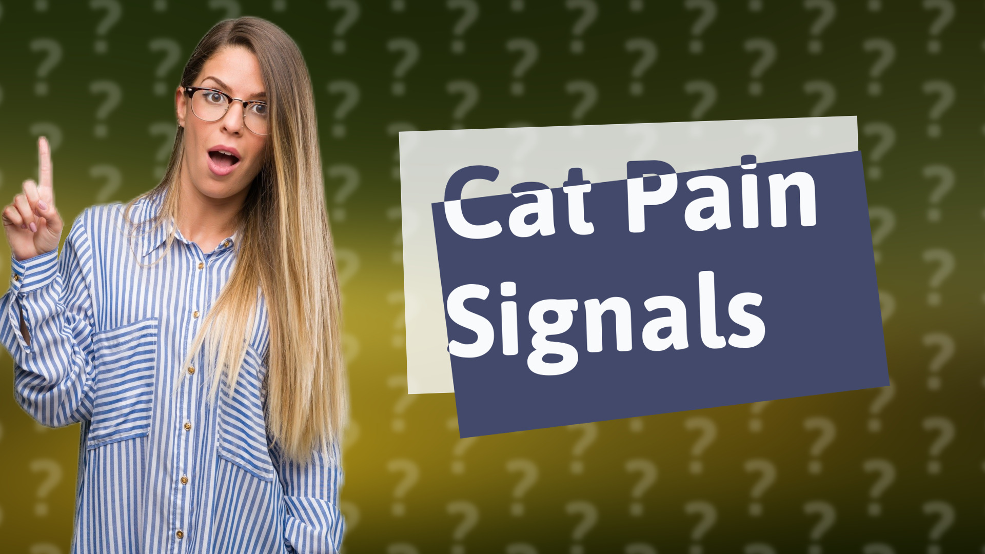 Cat Pain Signals