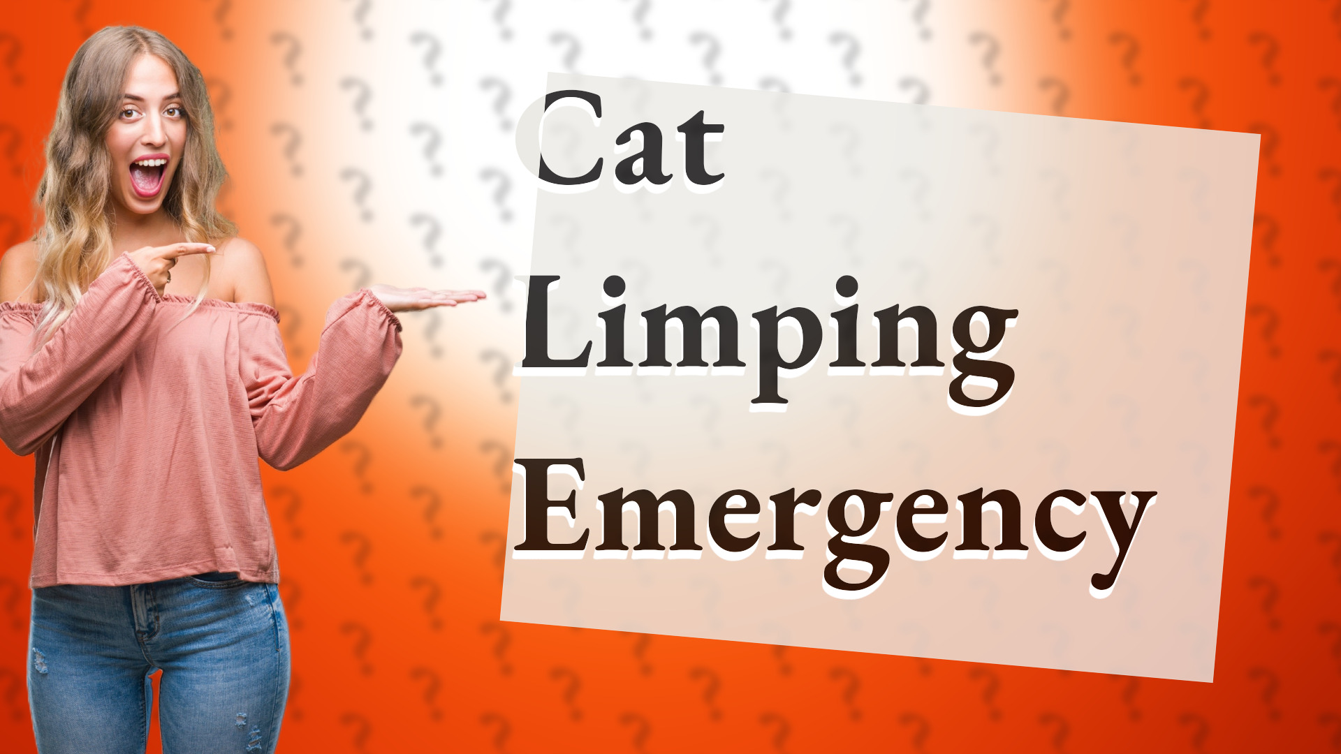 Cat Limping Emergency