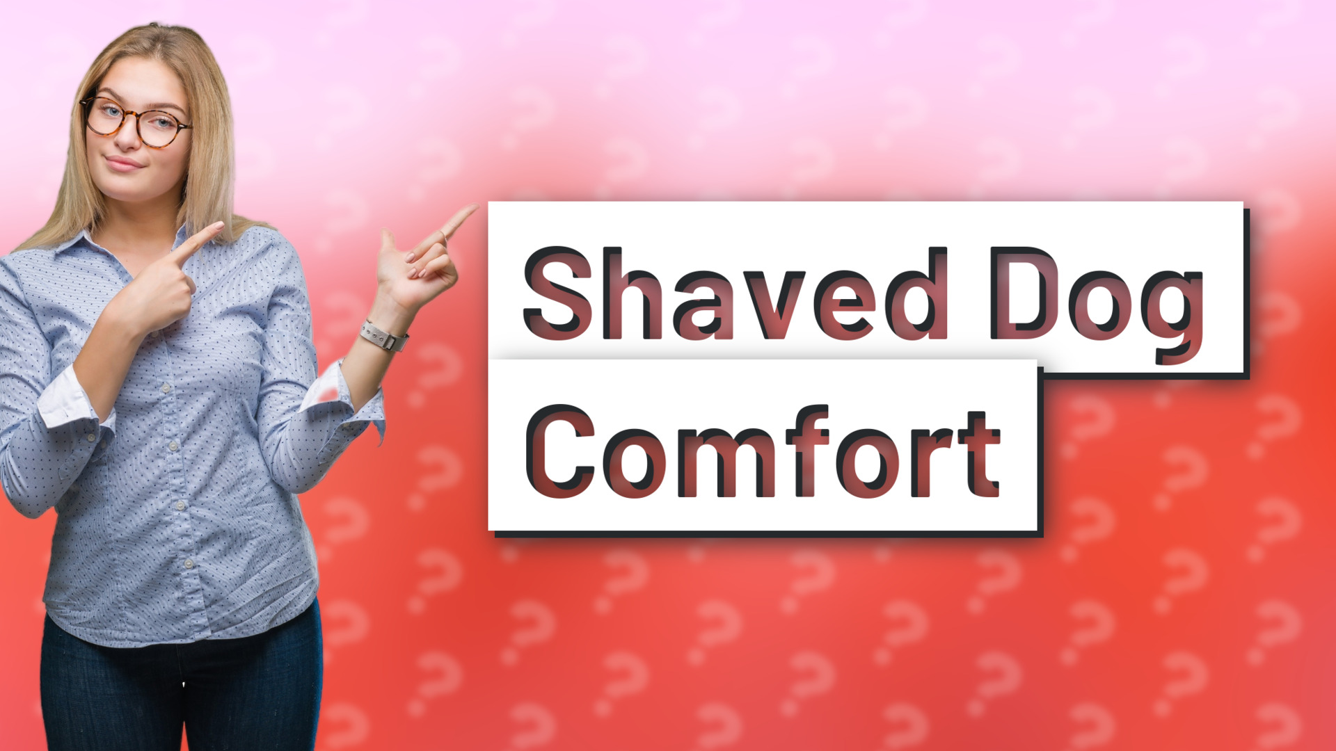 Shaved Dog Comfort