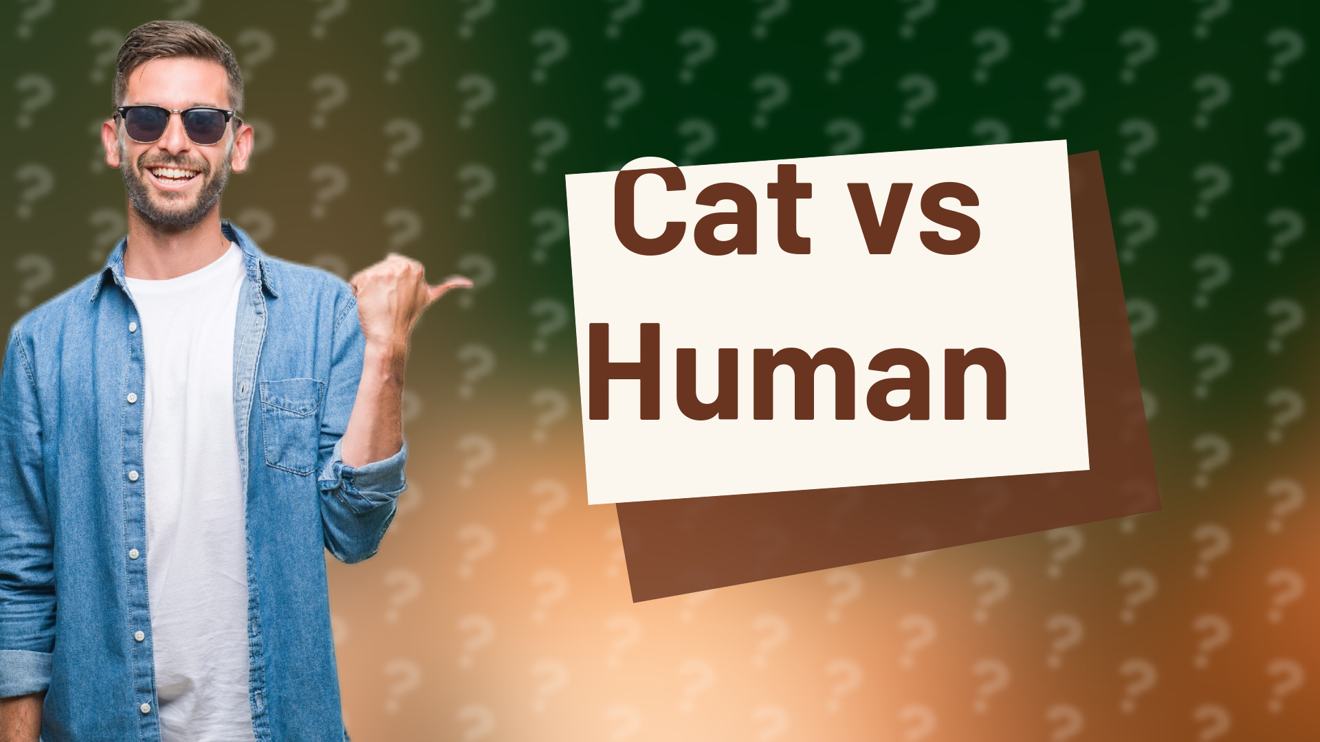 Cat vs Human