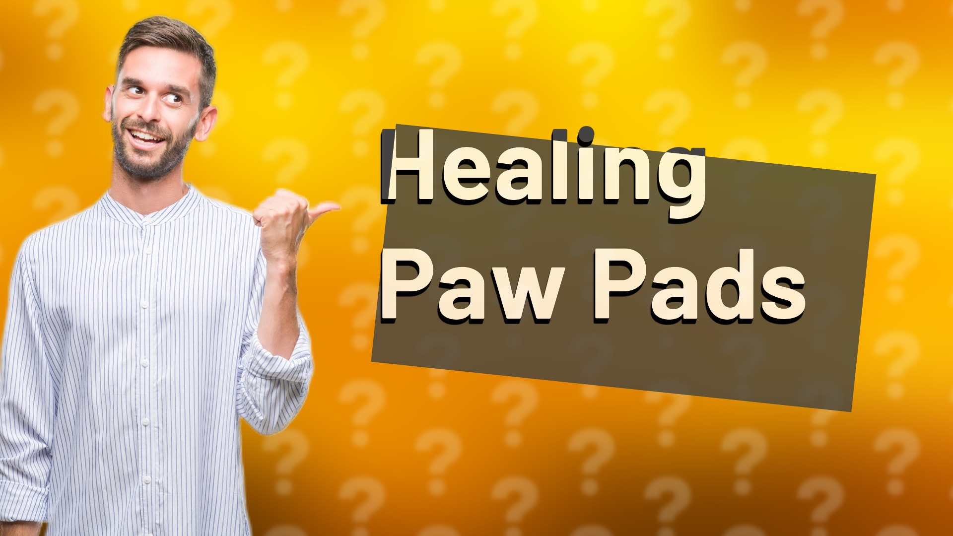 Healing Paw Pads