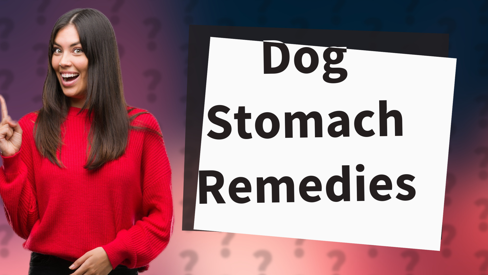 Dog Stomach Remedies