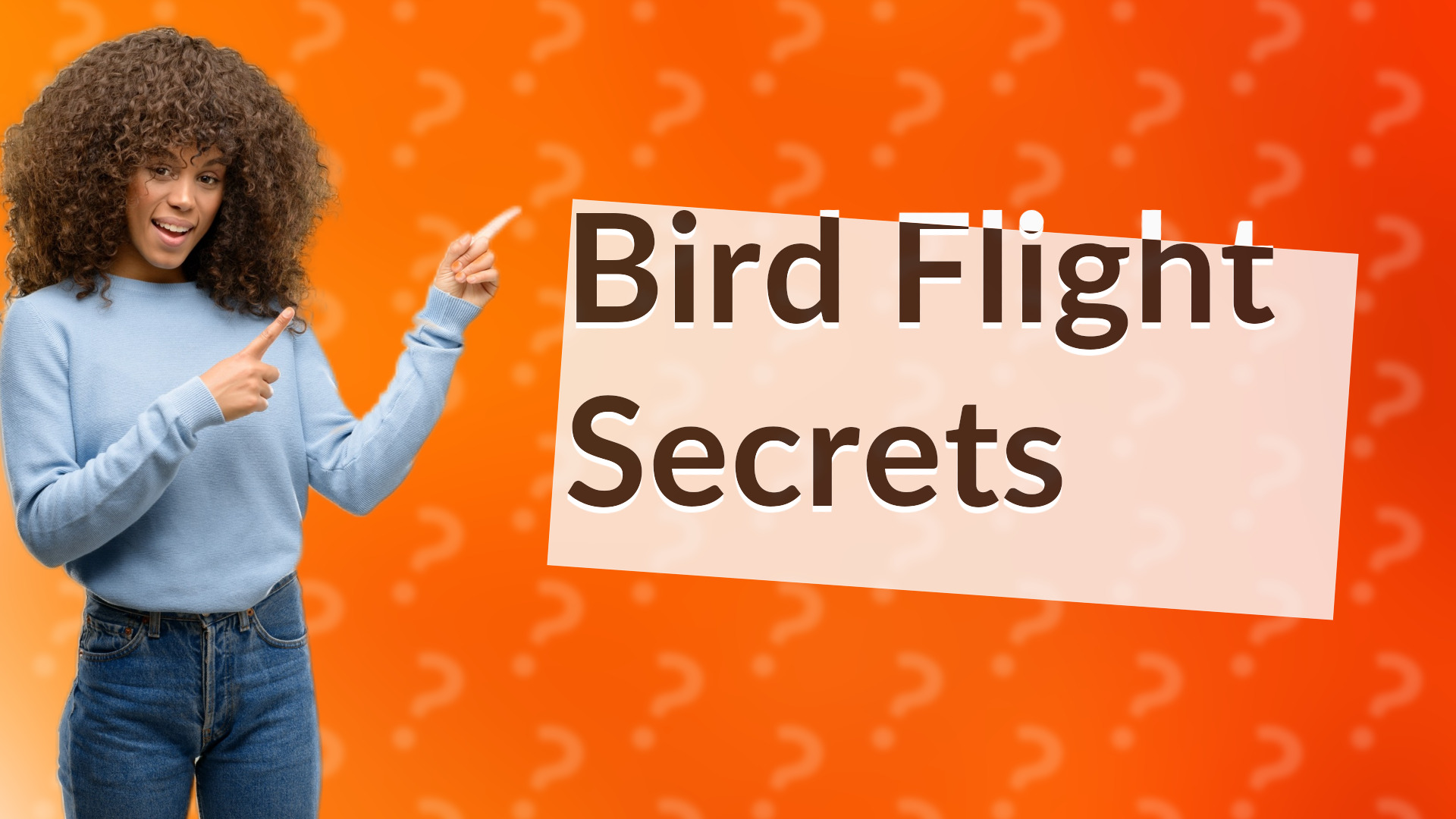 Bird Flight Secrets