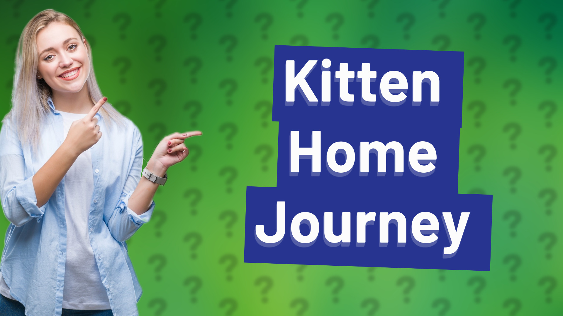 Kitten Home Journey