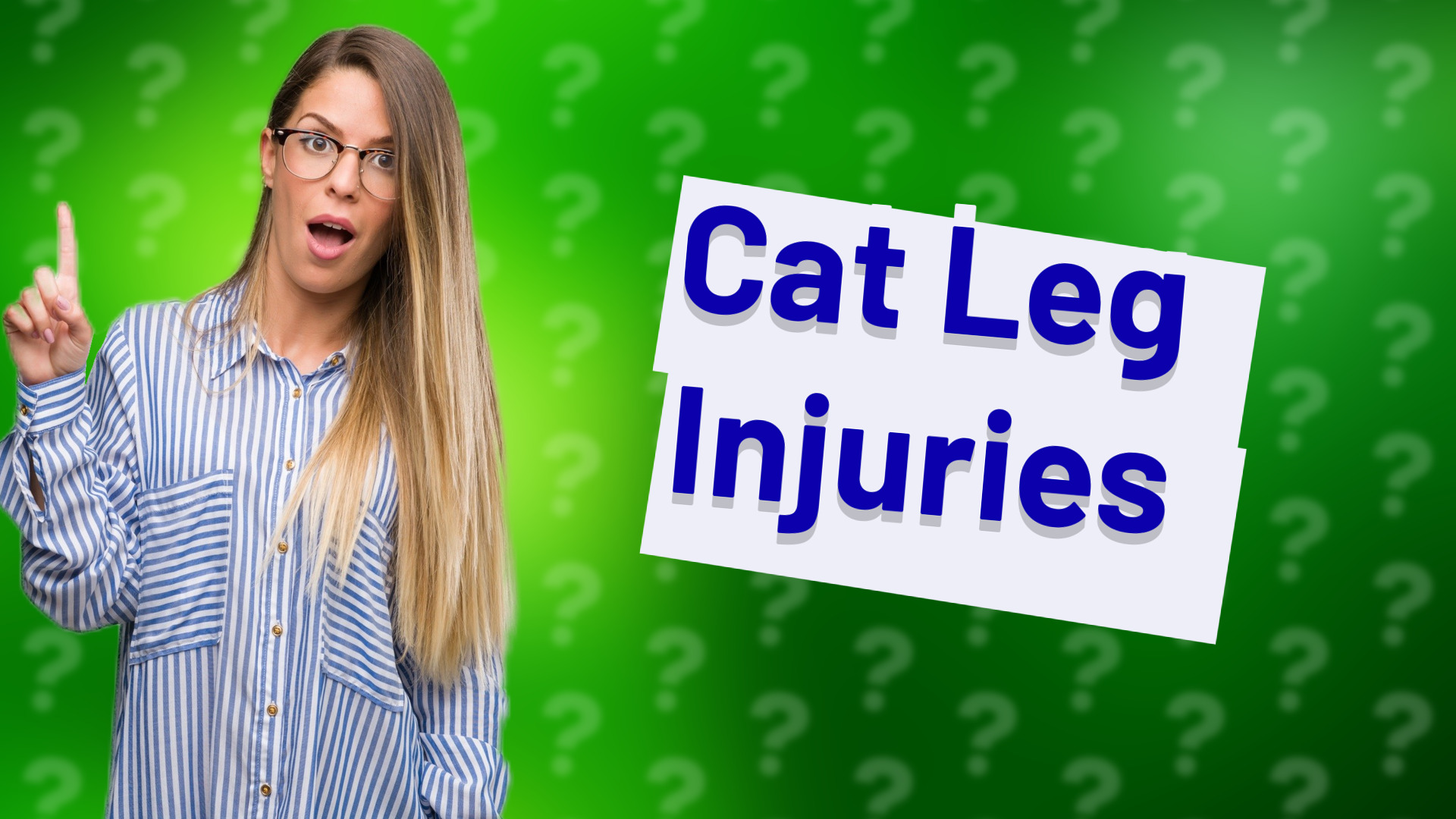Cat Leg Injuries