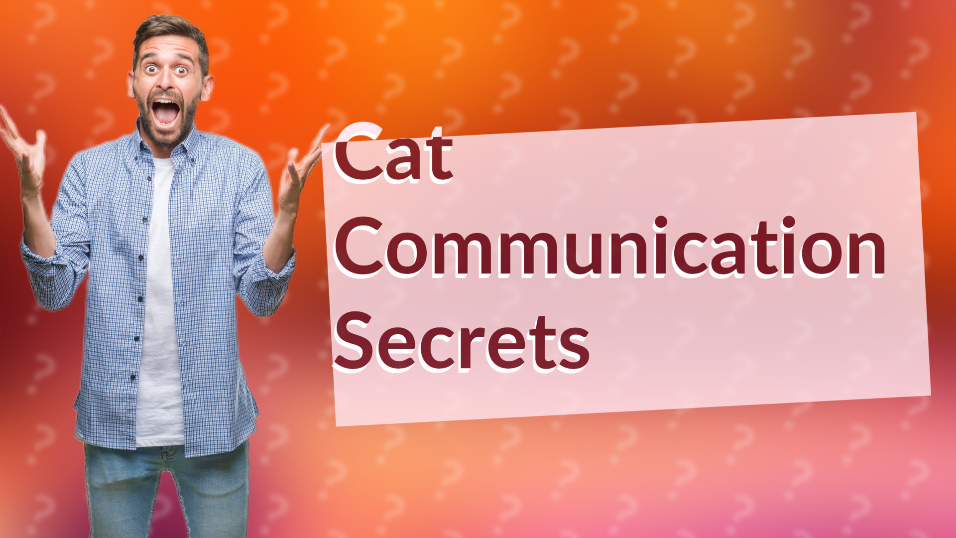 Cat Communication Secrets