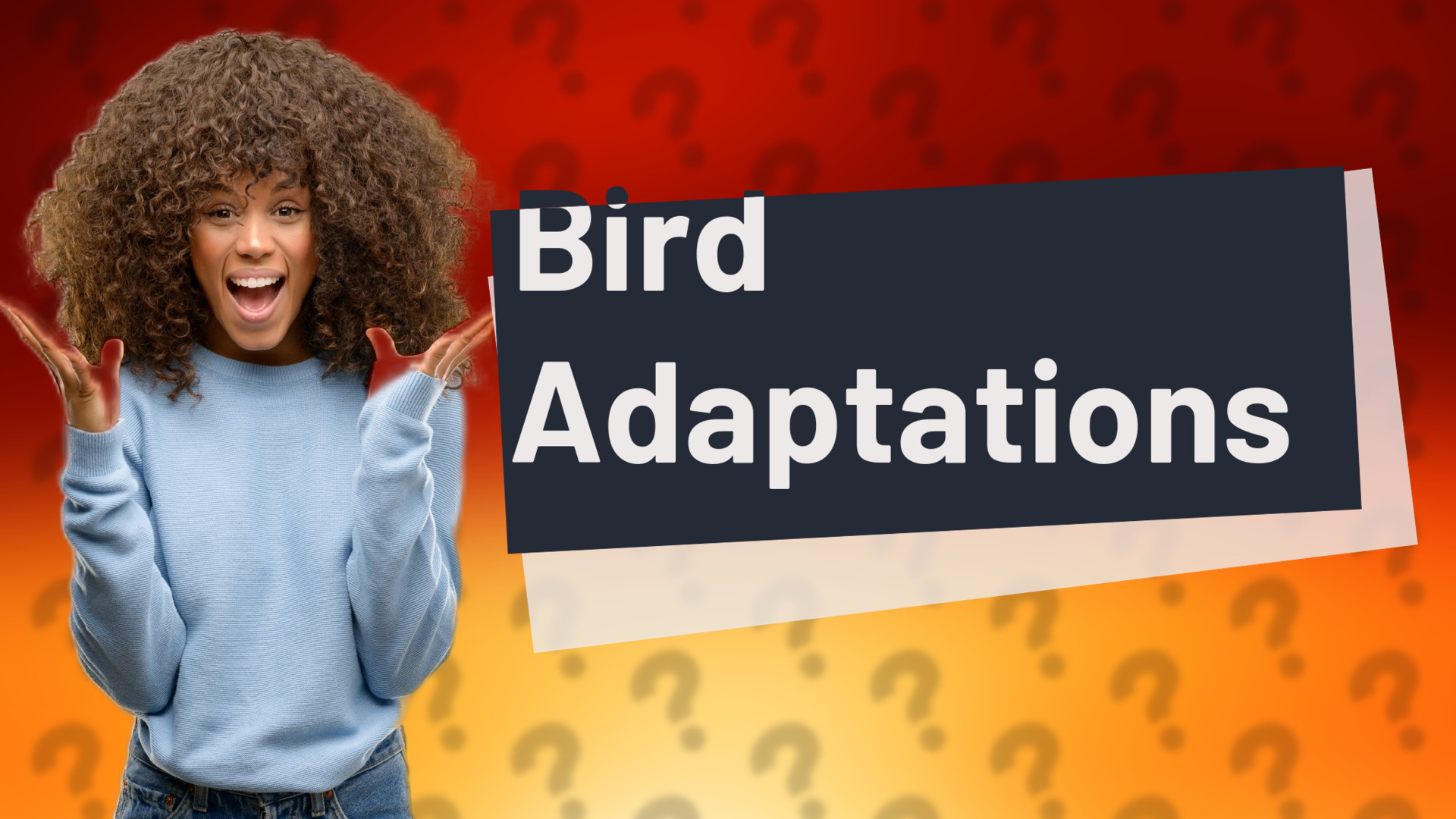 Bird Adaptations
