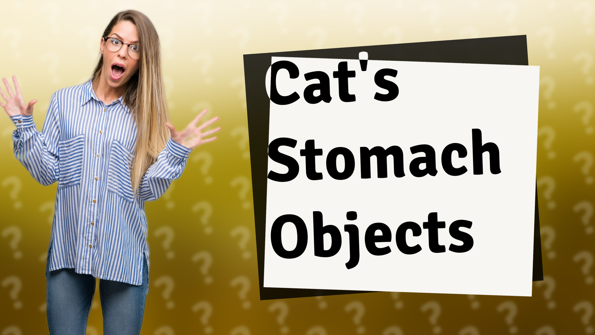 Cat's Stomach Objects
