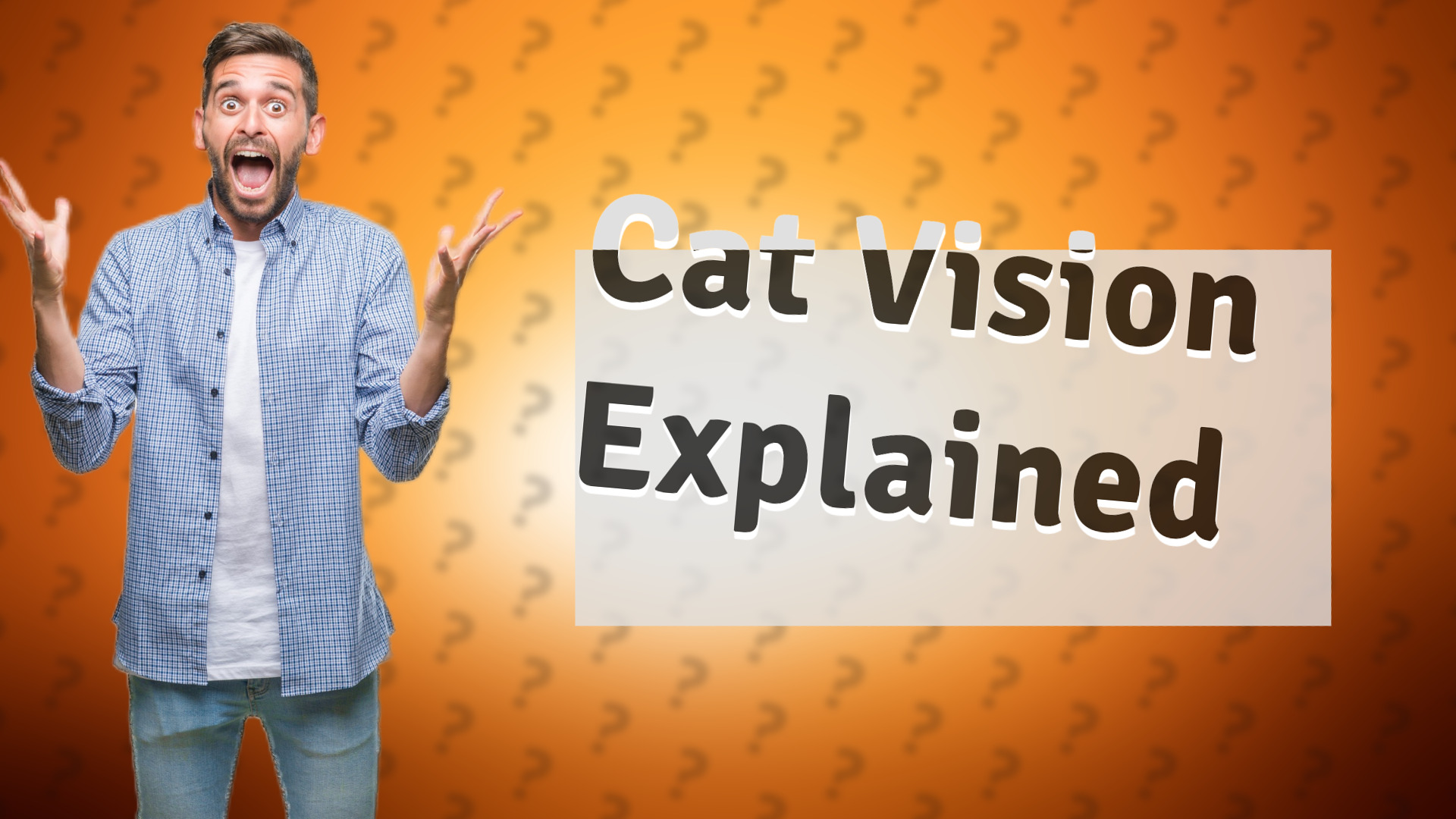 Cat Vision Explained
