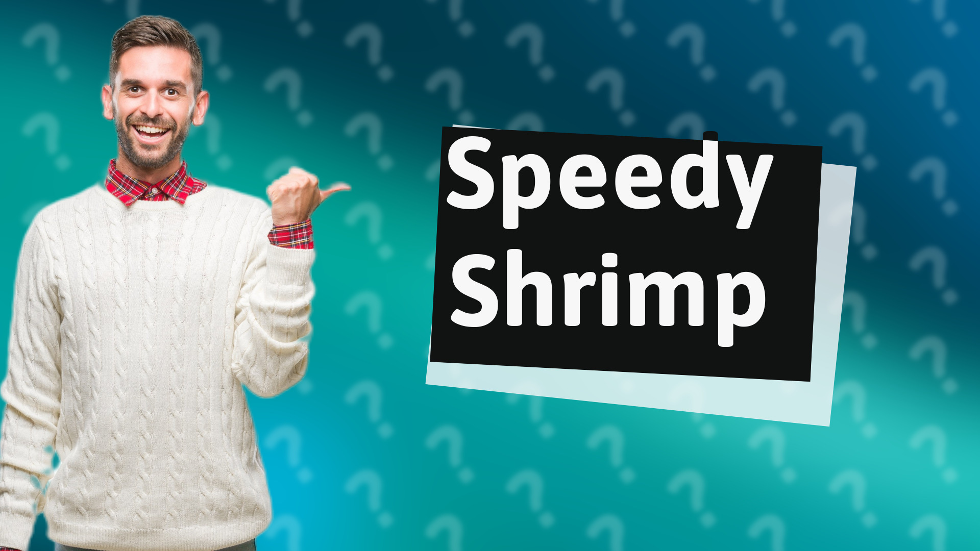 Speedy Shrimp