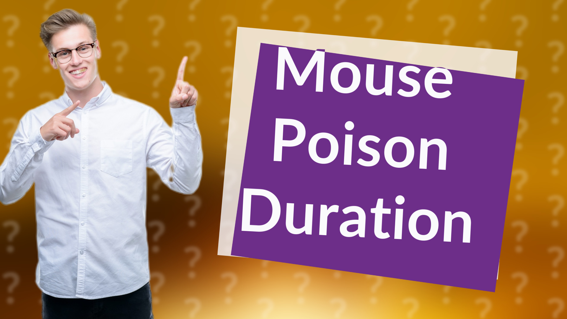 Mouse Poison Duration