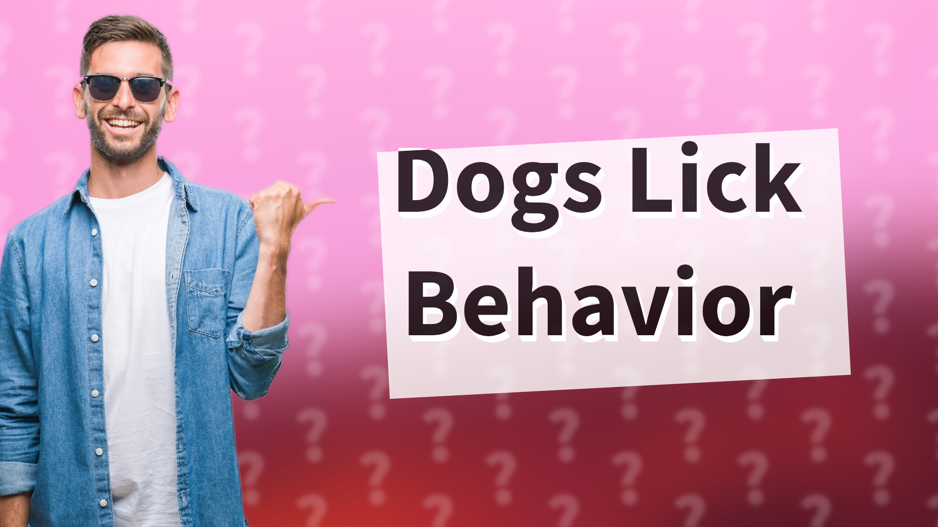 Dogs Lick Behavior