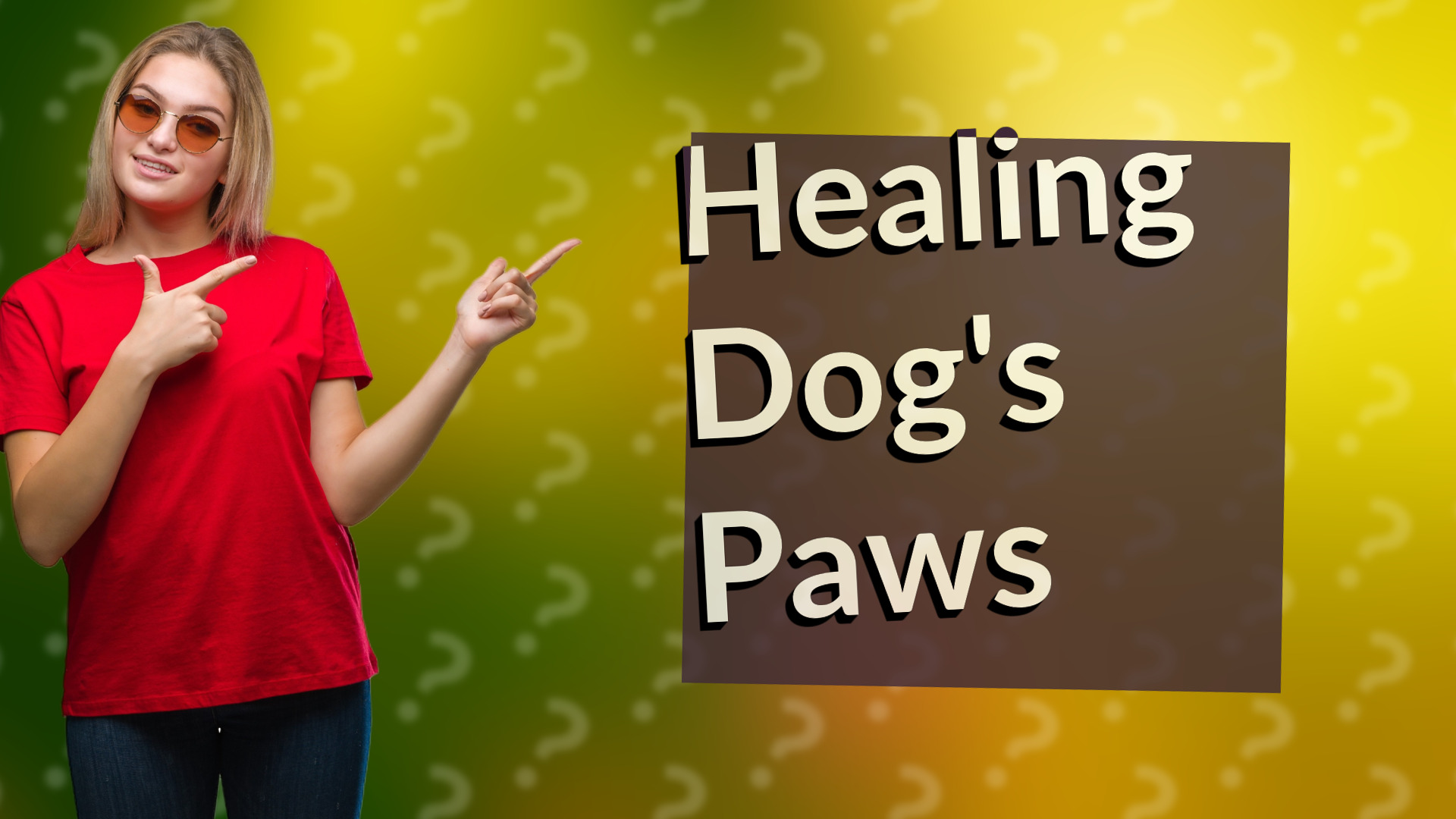 Healing Dog's Paws