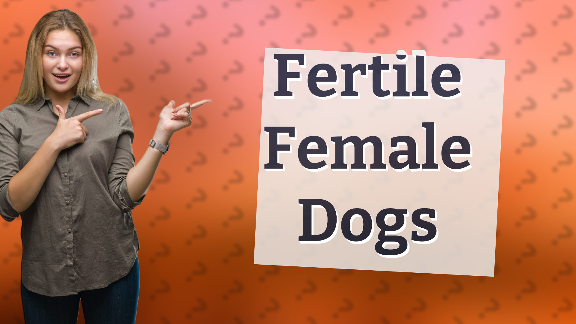 Fertile Female Dogs