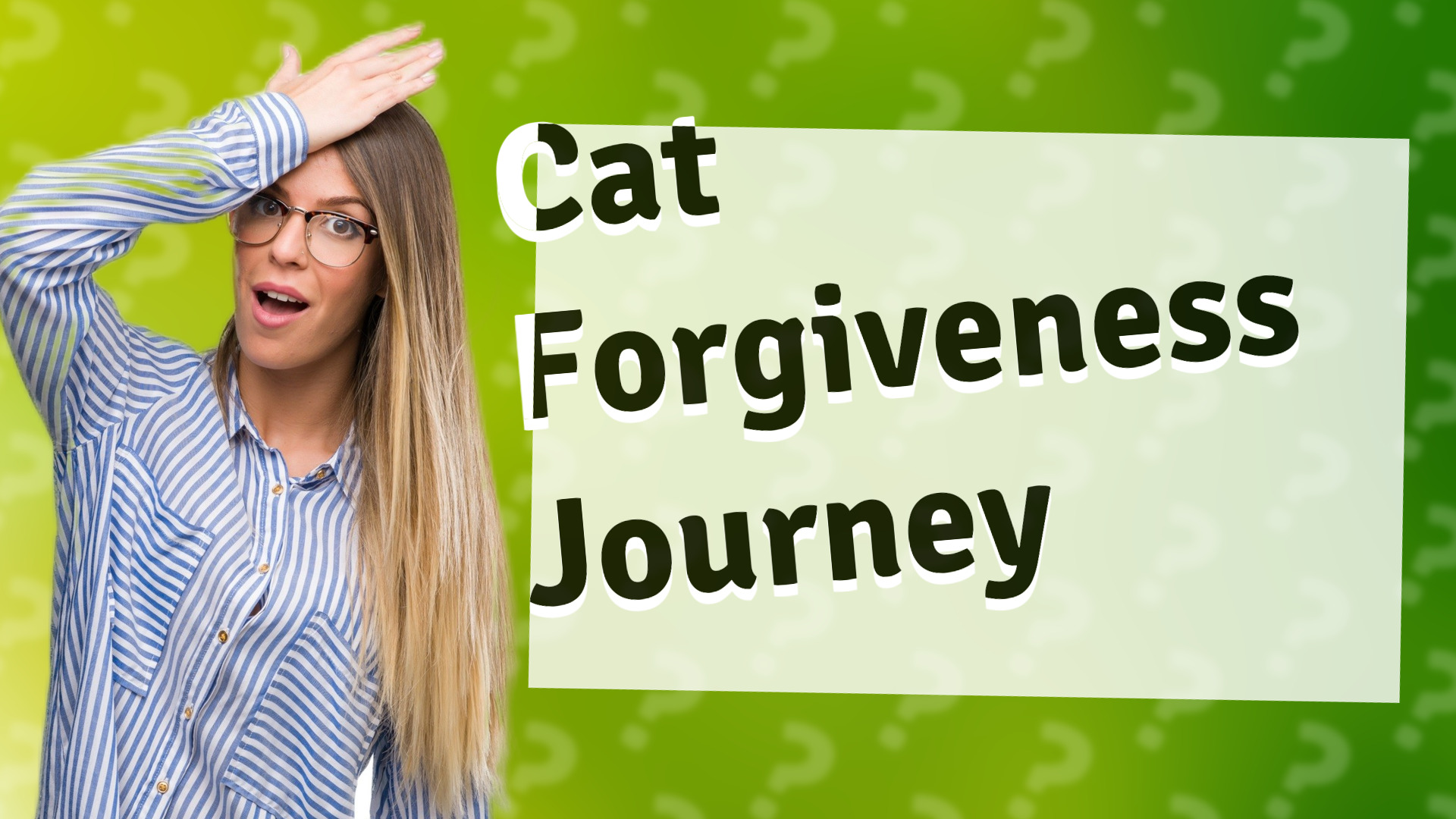 Cat Forgiveness Journey