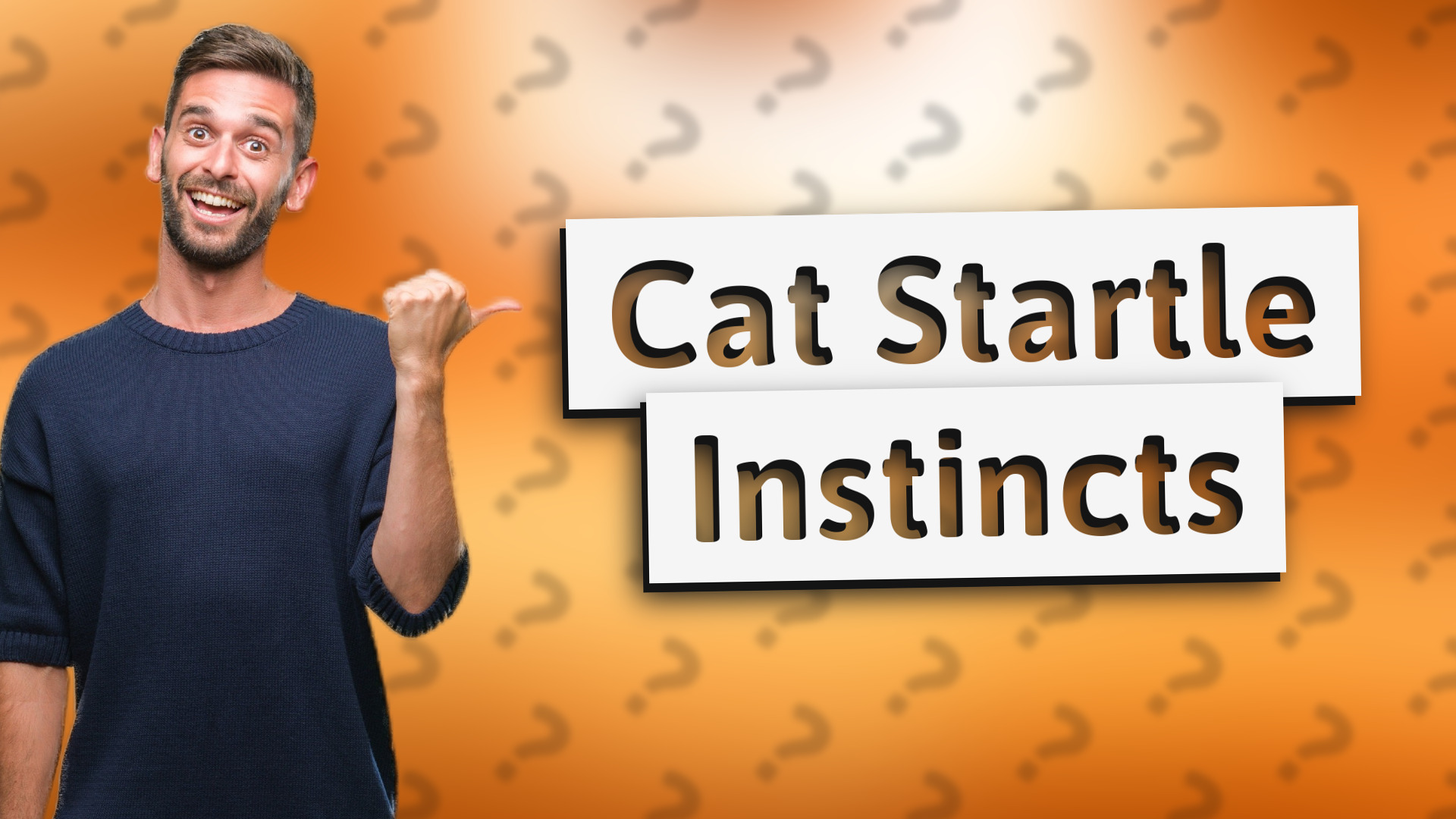 Cat Startle Instincts