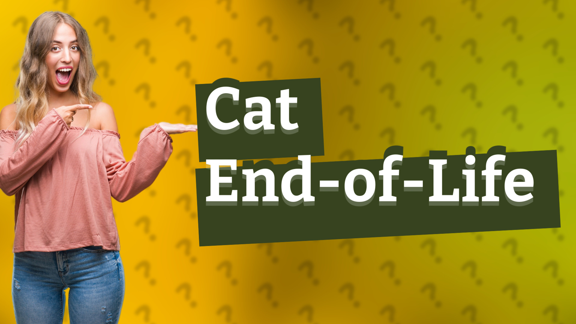 Cat End-of-Life