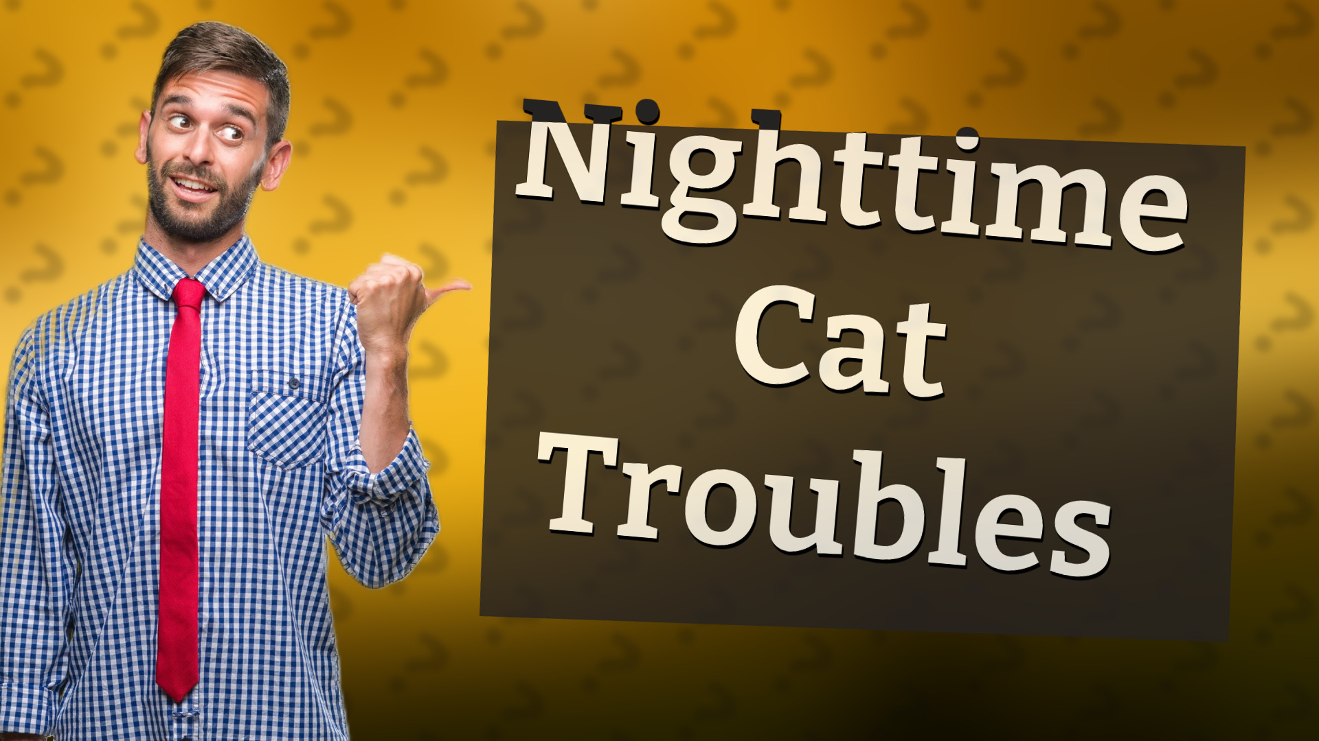 Nighttime Cat Troubles