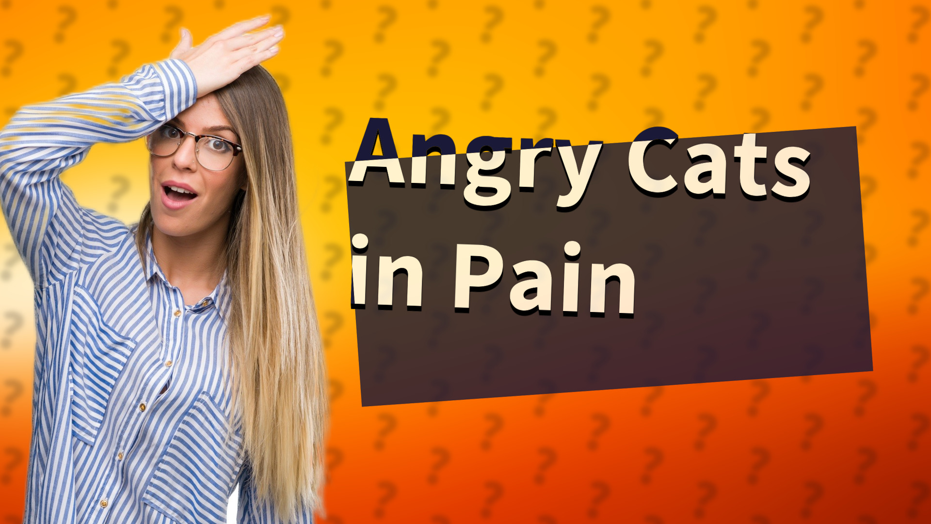 Angry Cats in Pain