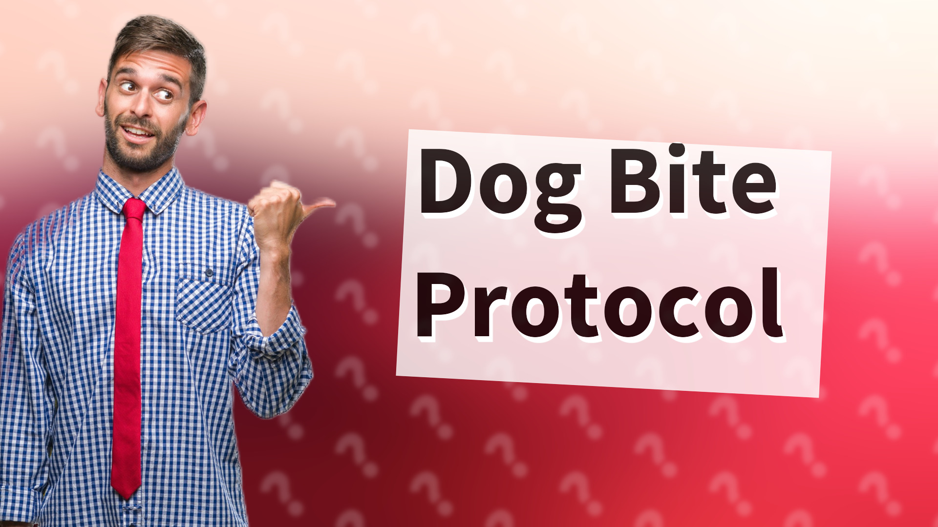Dog Bite Protocol