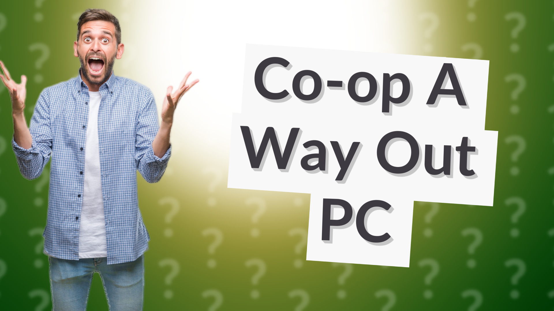 Co-op A Way Out PC