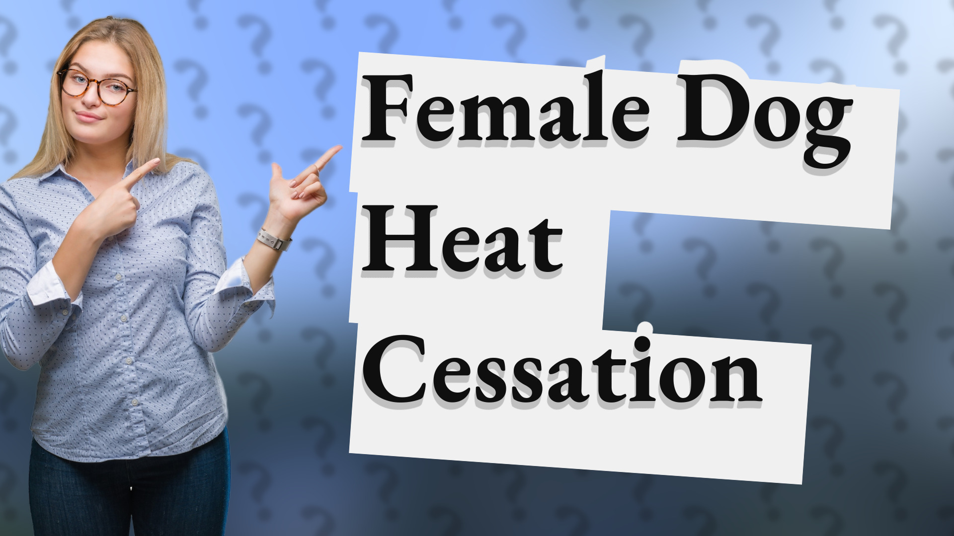 Female Dog Heat Cessation