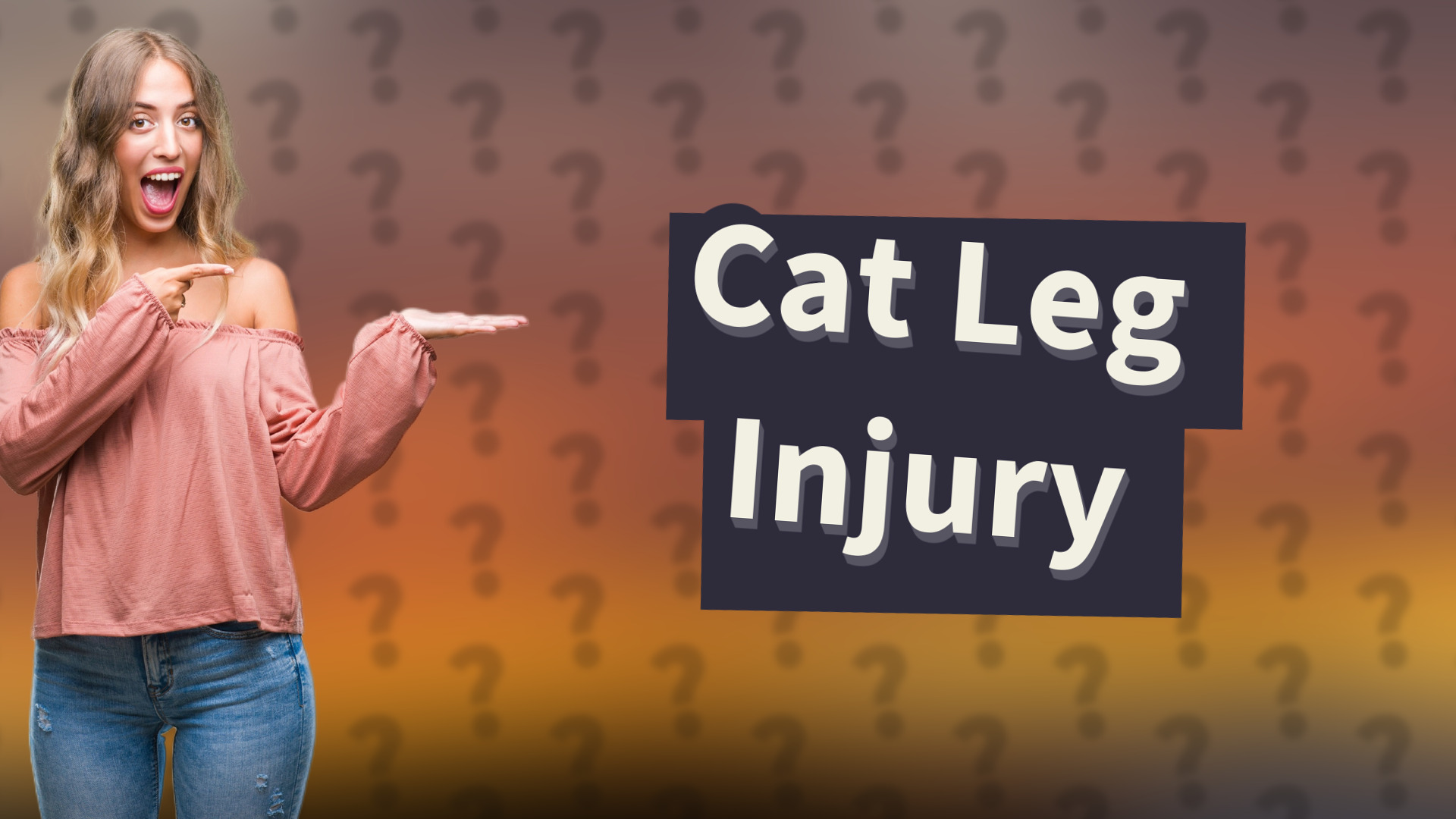 Cat Leg Injury