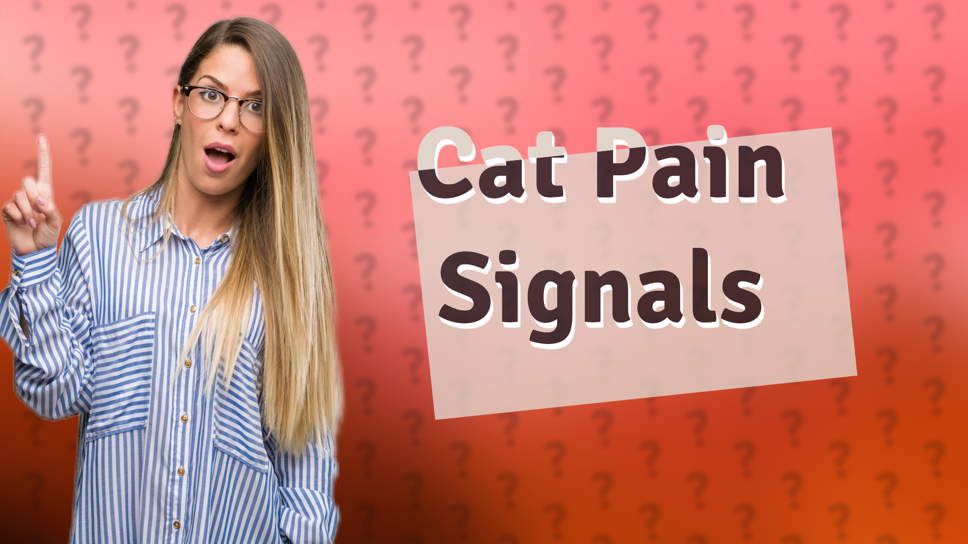 Cat Pain Signals