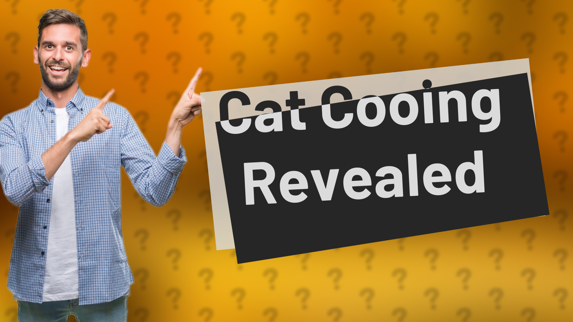 Cat Cooing Revealed