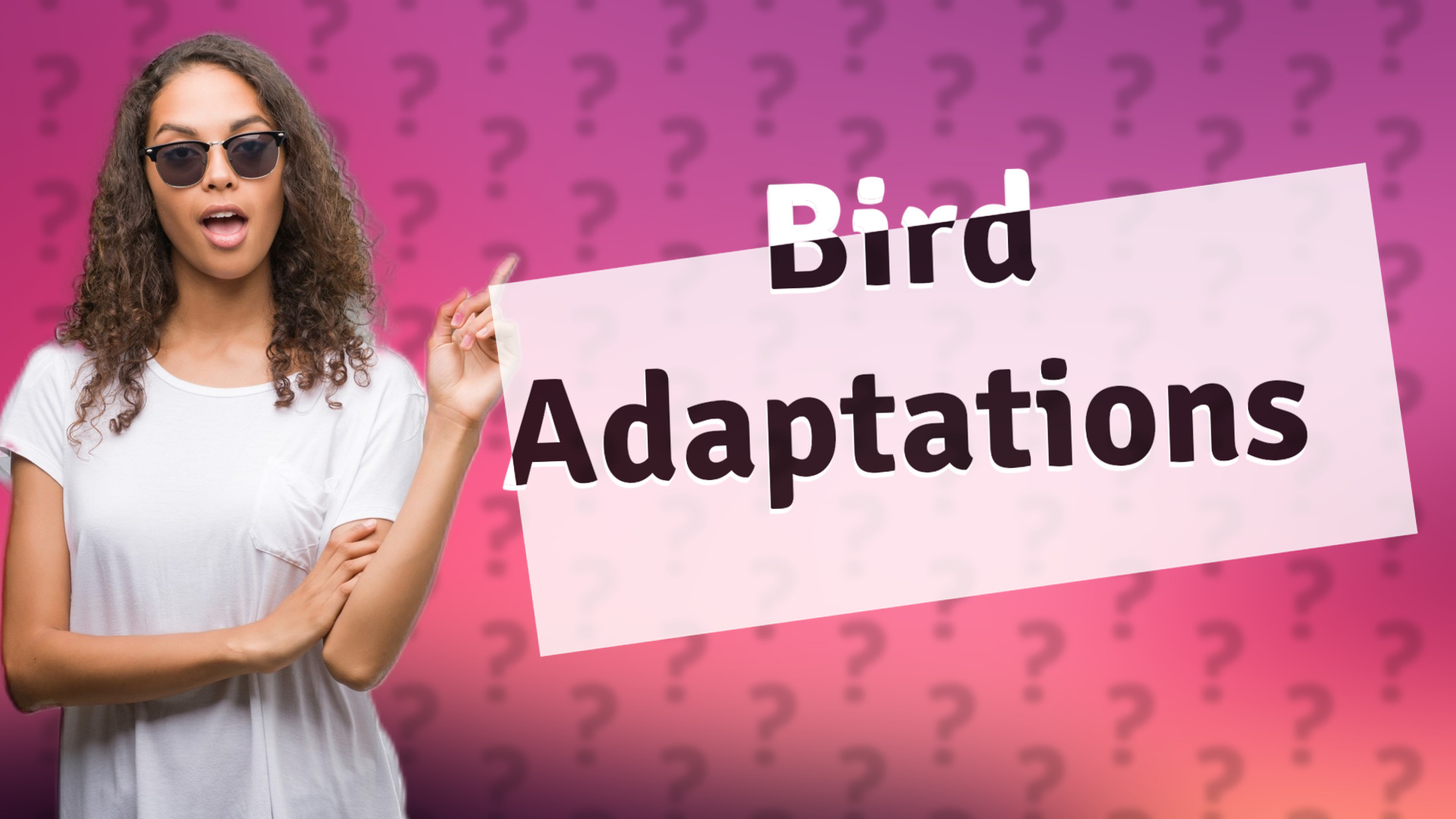 Bird Adaptations