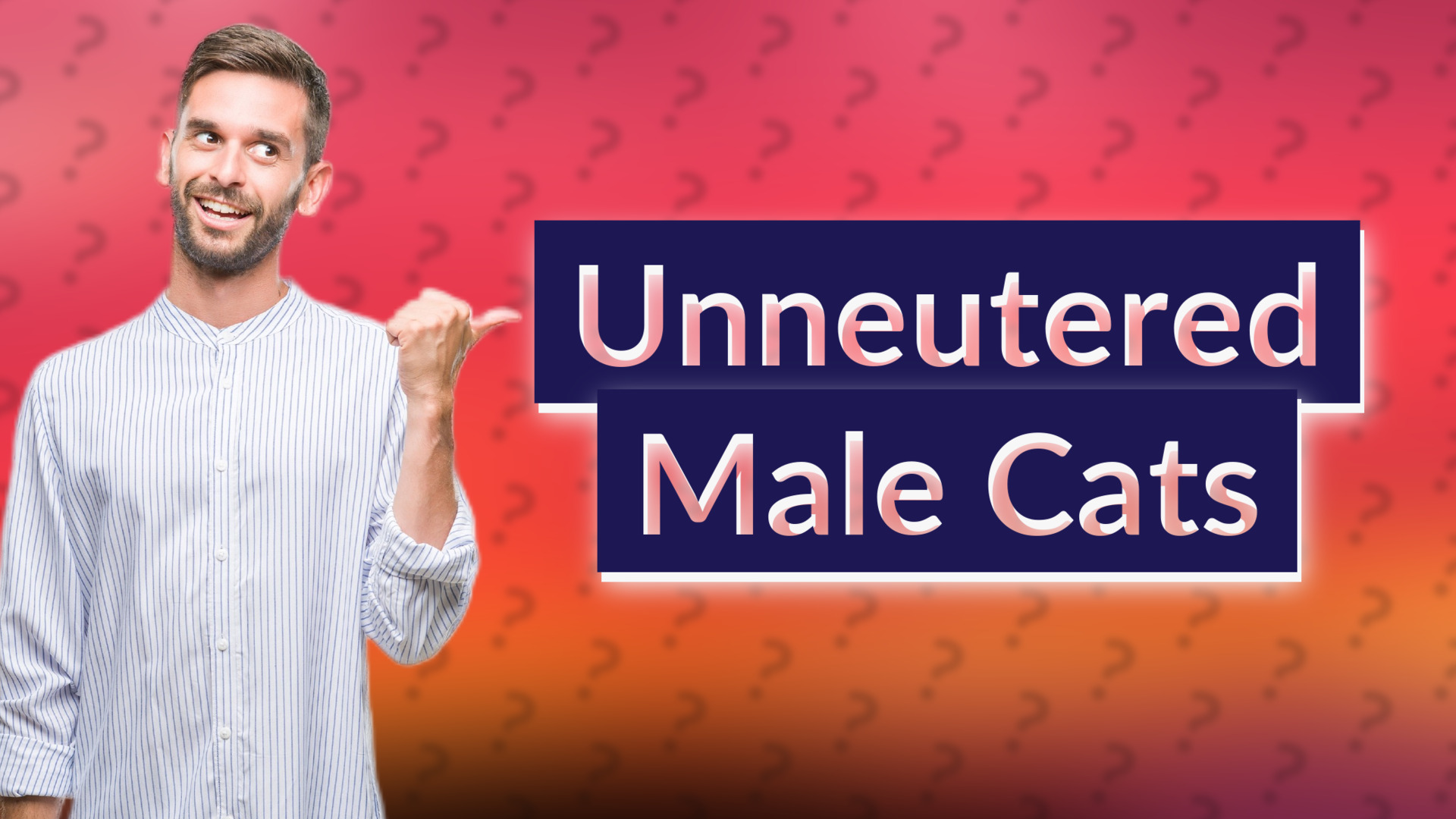 Unneutered Male Cats