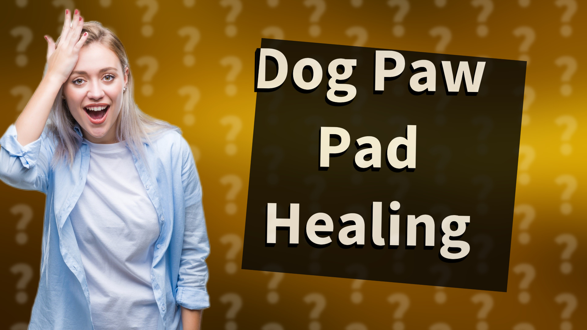 Dog Paw Pad Healing