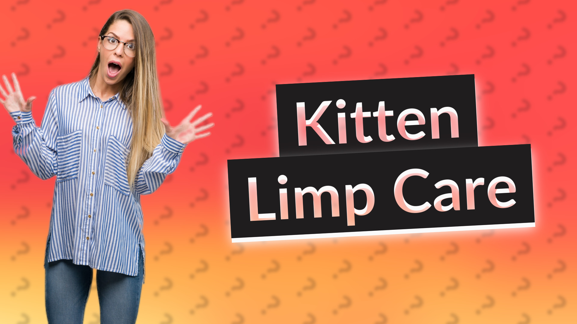 Kitten Limp Care