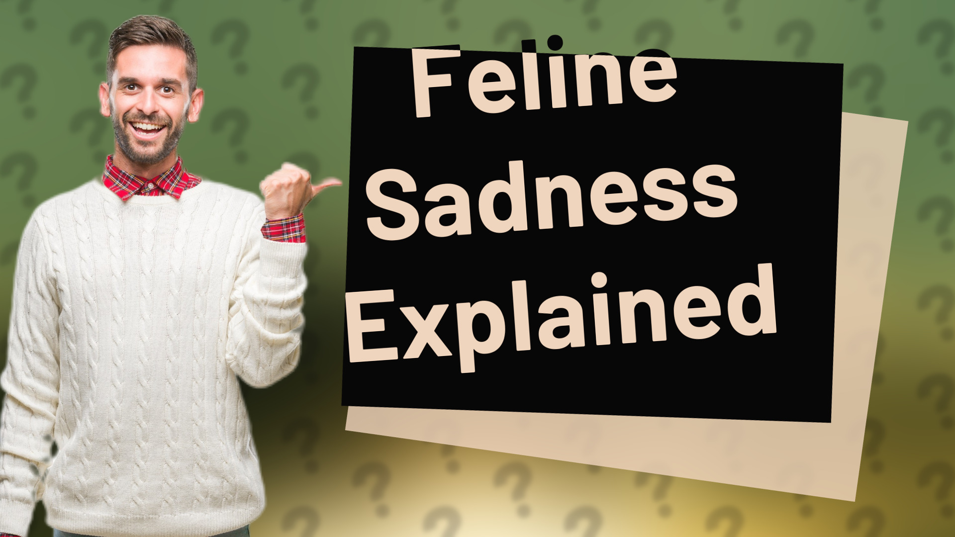 Feline Sadness Explained