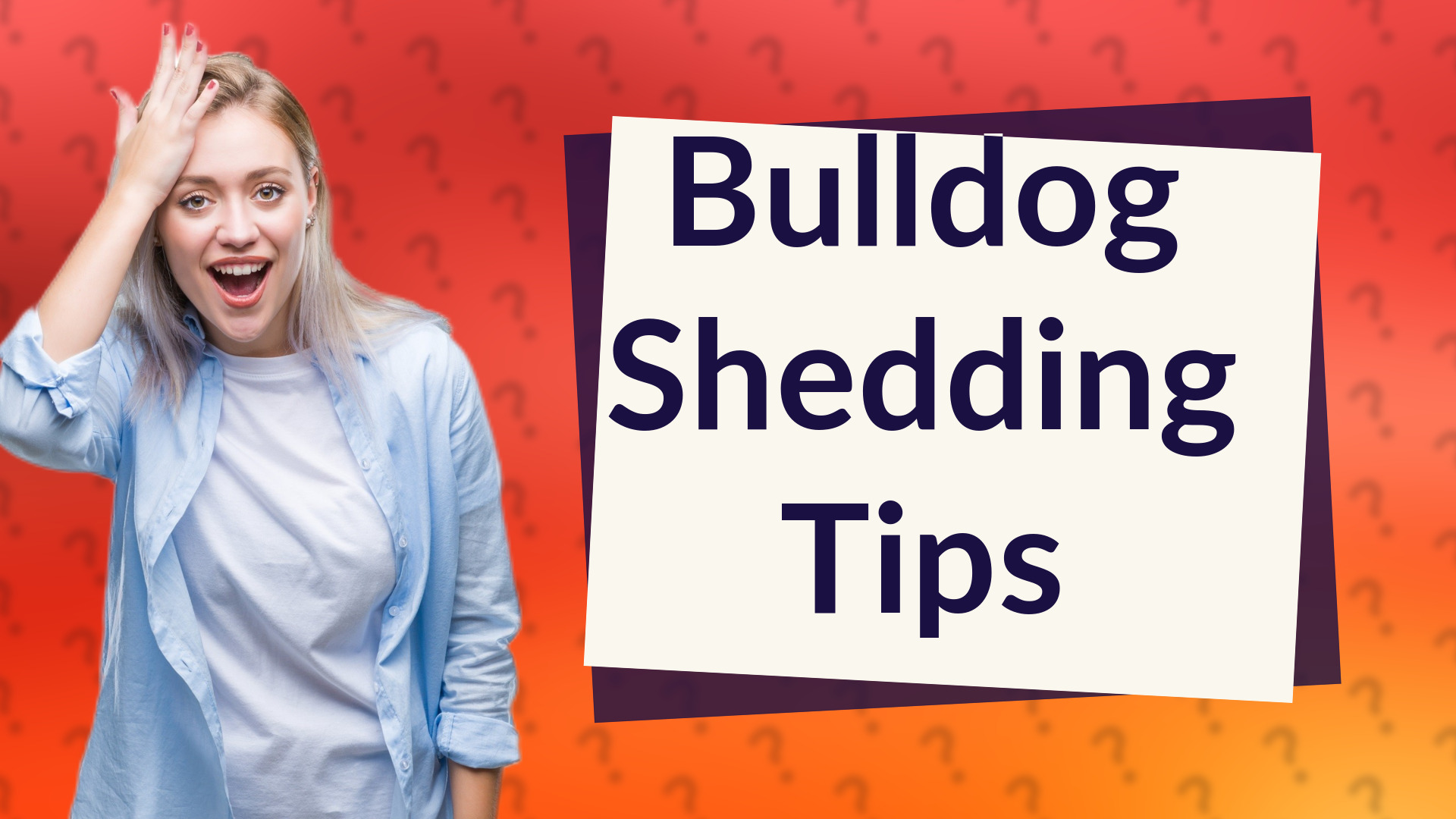 Bulldog Shedding Tips