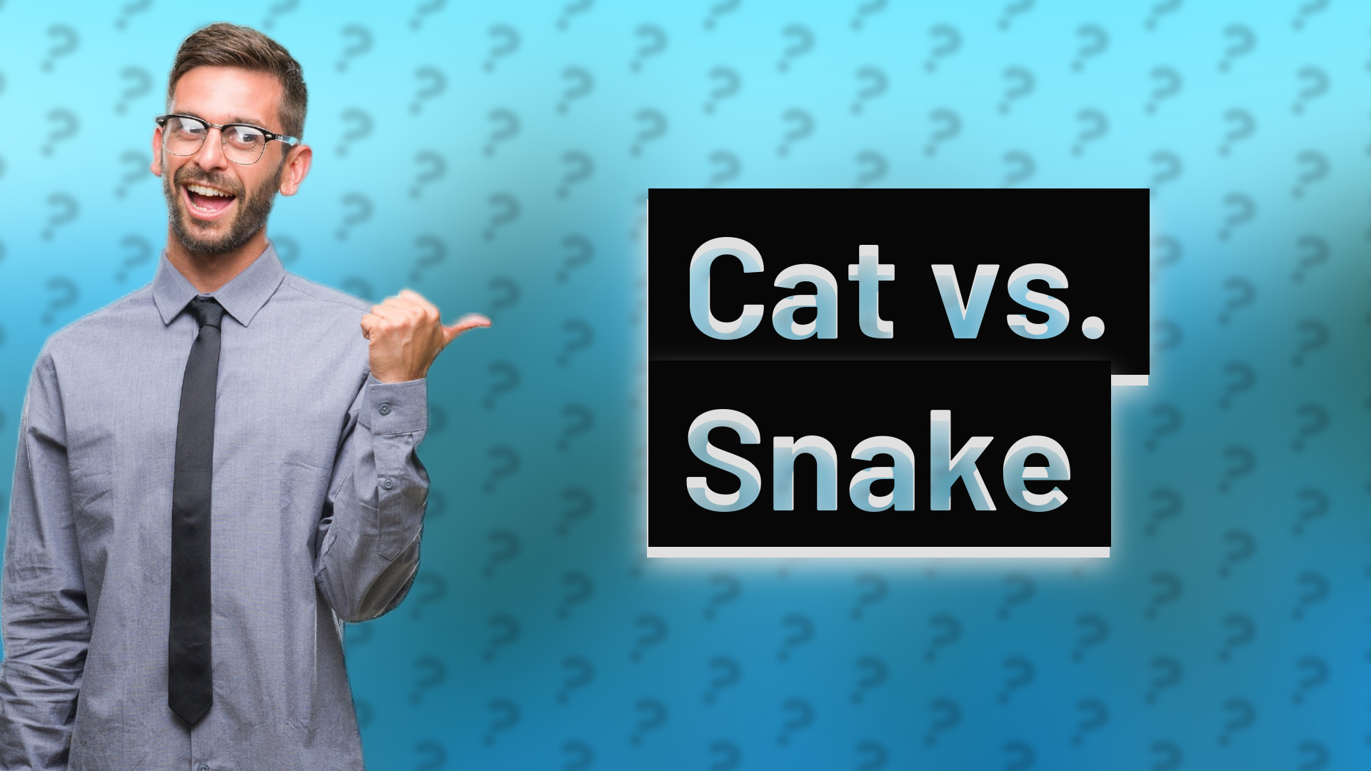 Cat vs. Snake