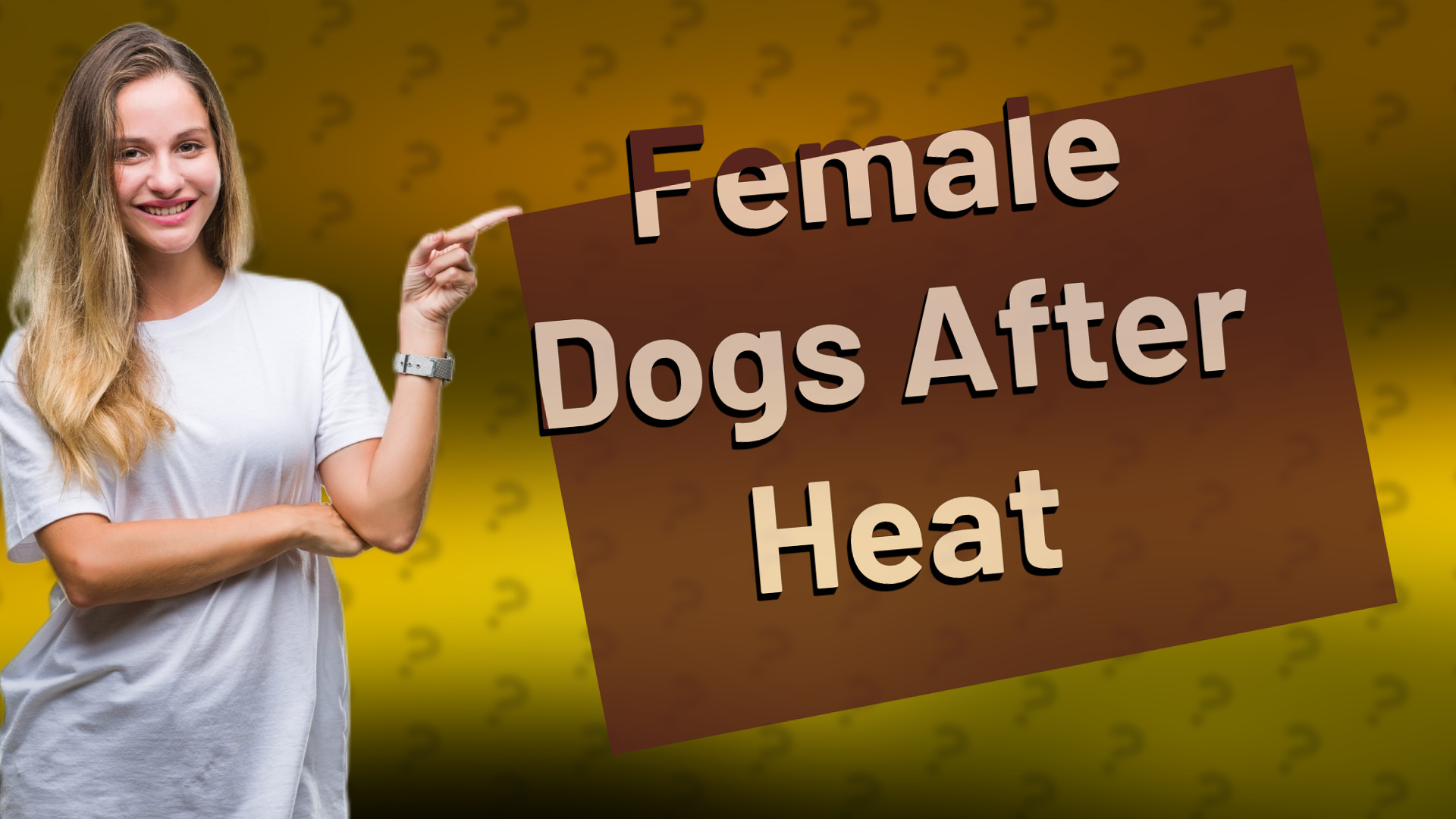 Female Dogs After Heat