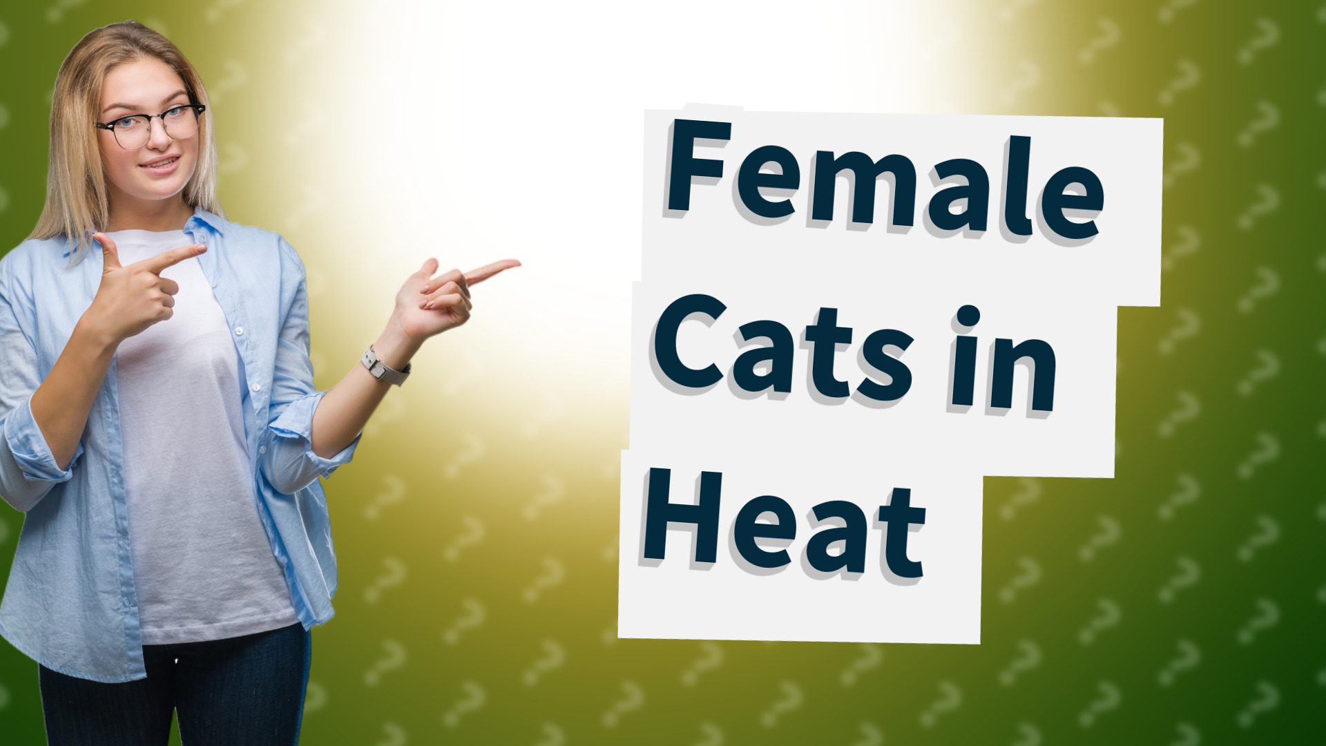 Female Cats in Heat