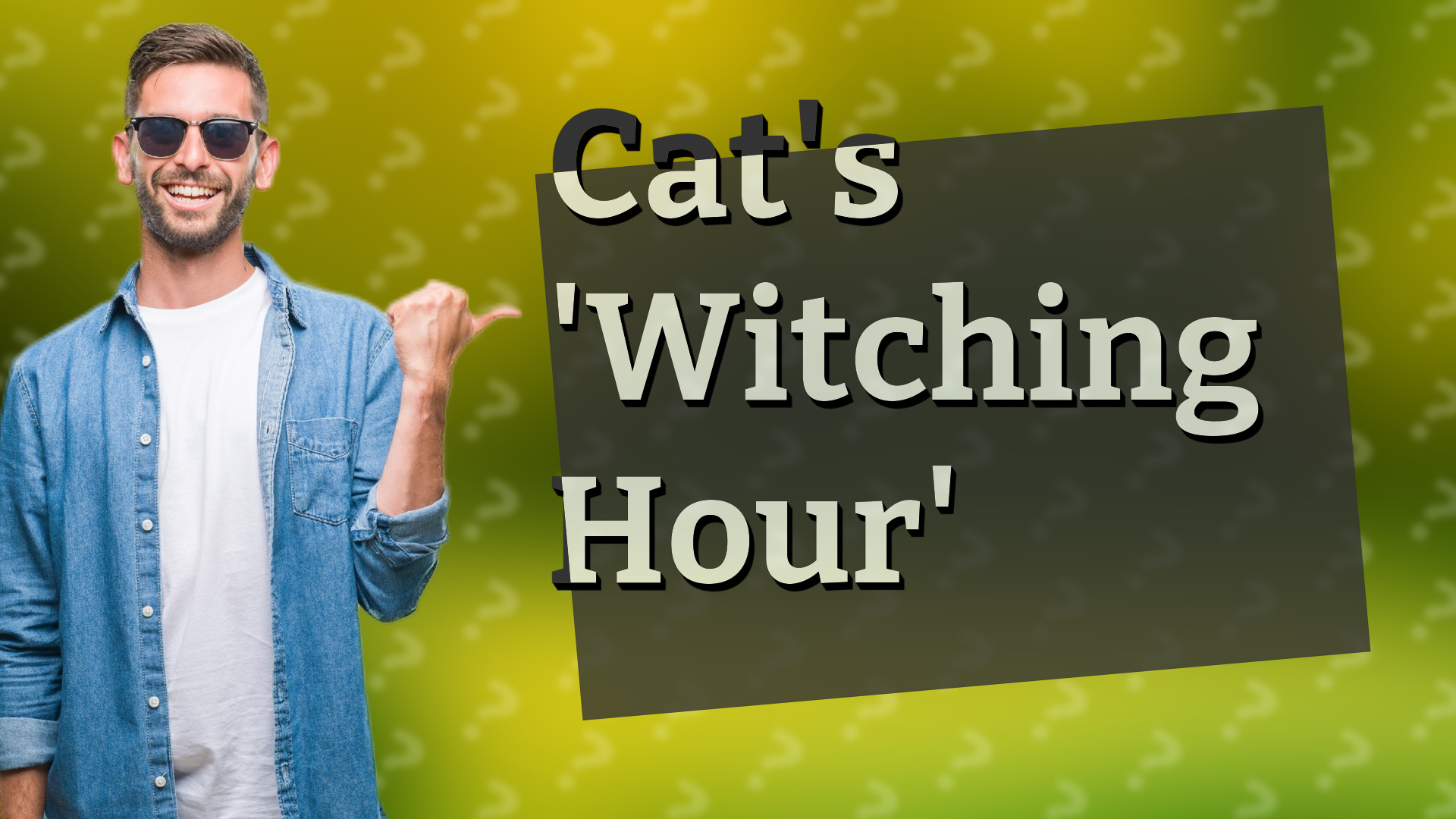 Cat's 'Witching Hour'