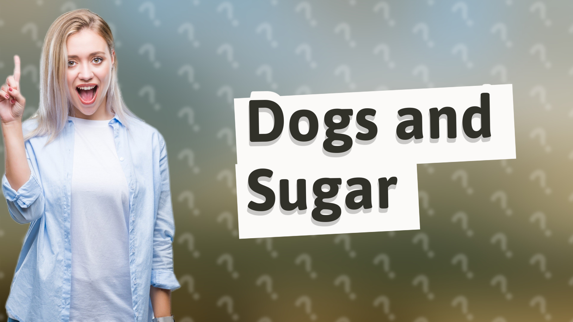 Dogs and Sugar