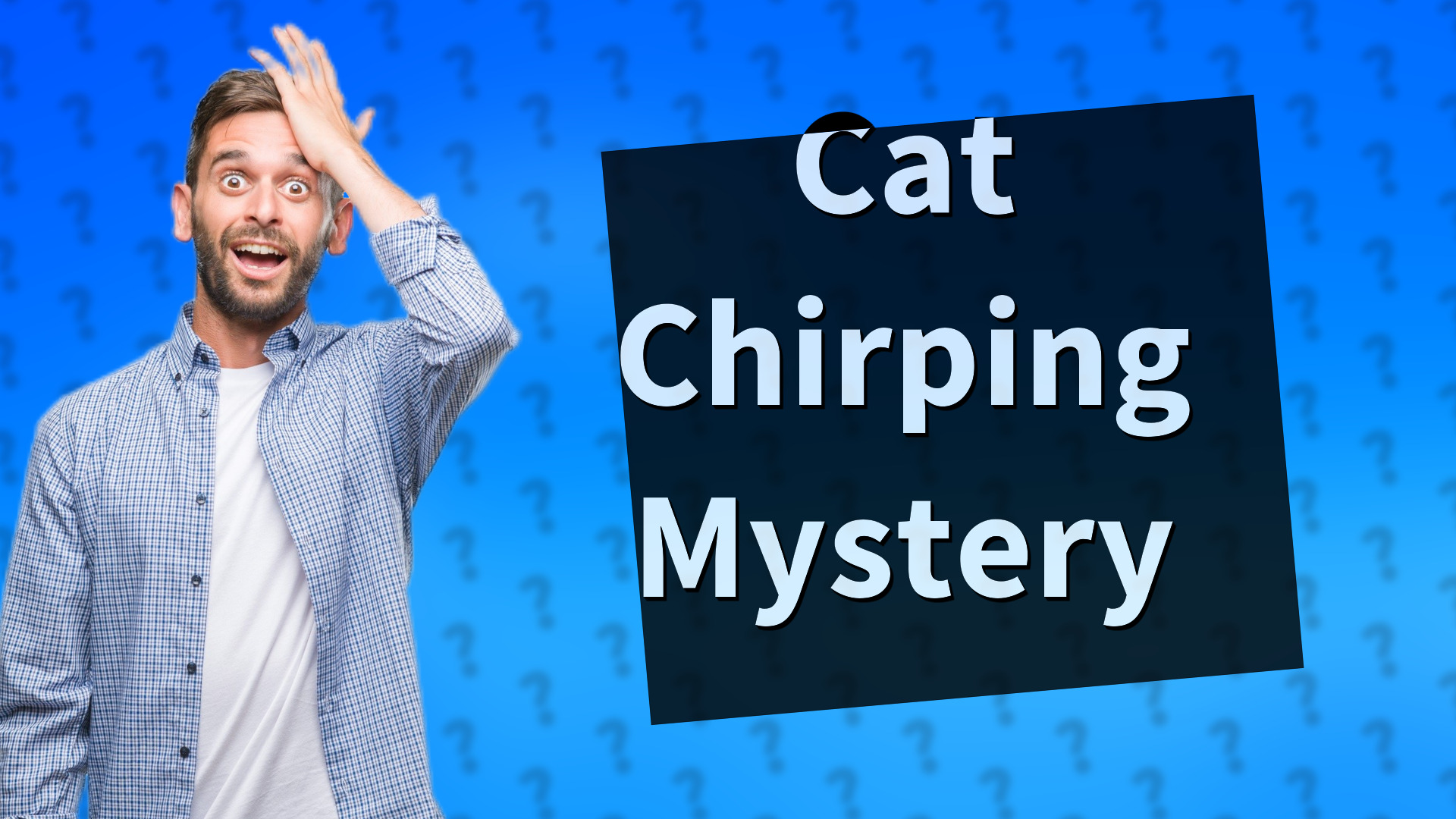 Cat Chirping Mystery