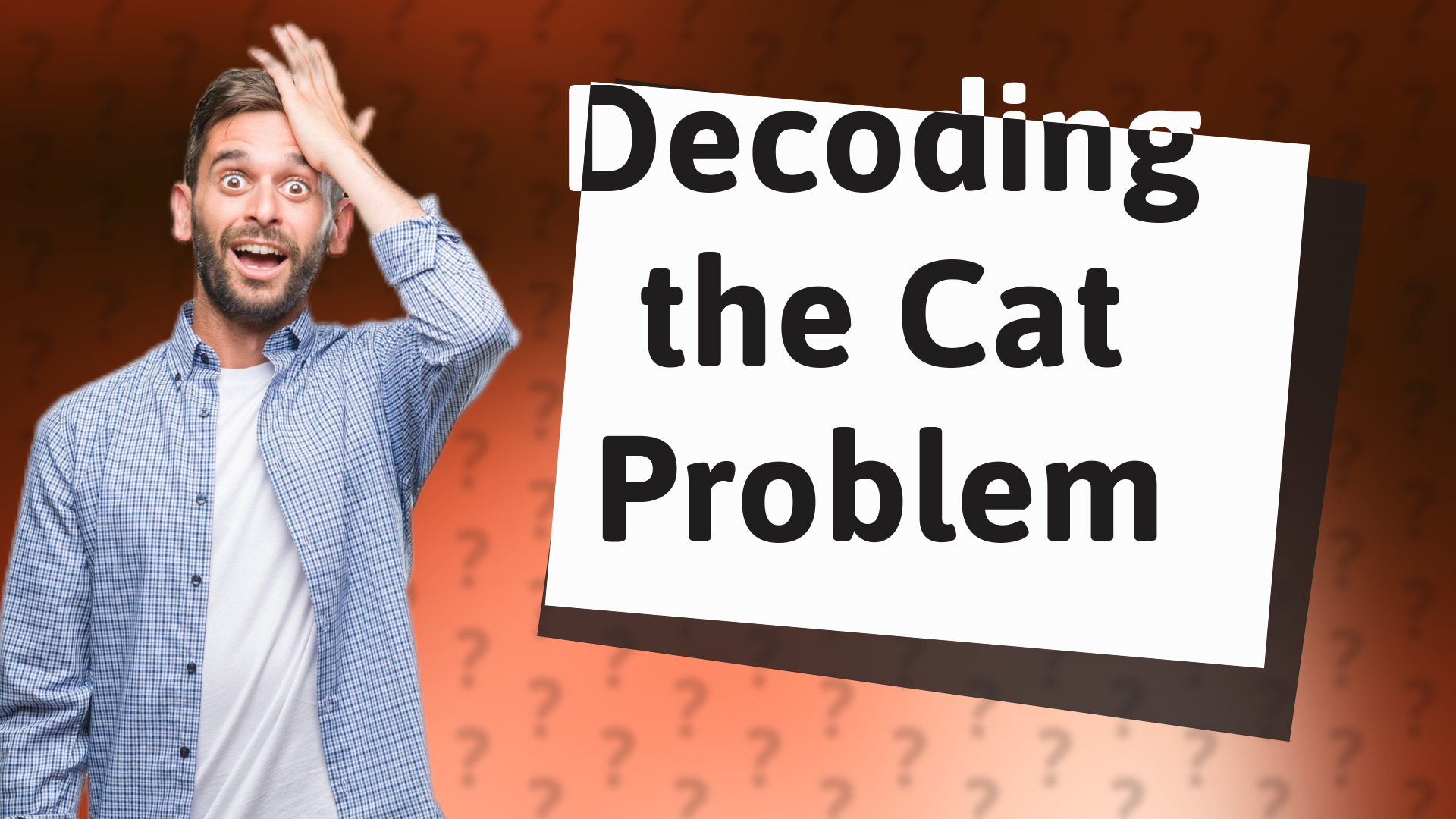 Decoding the Cat Problem